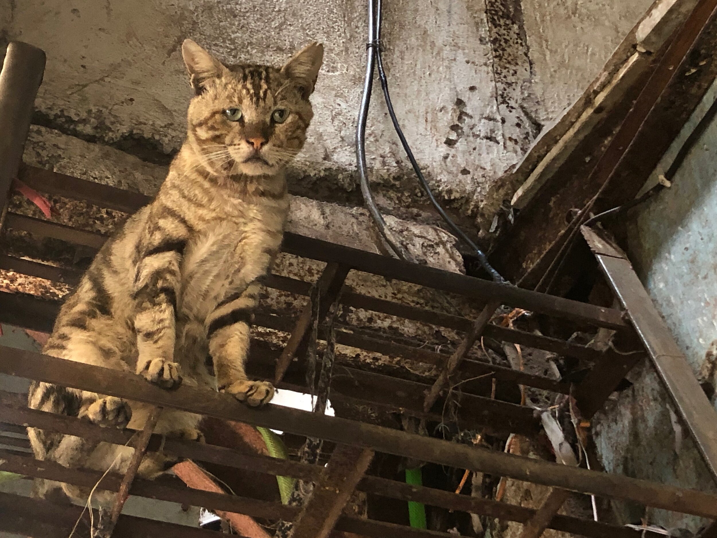 Dharavi, Mumbai