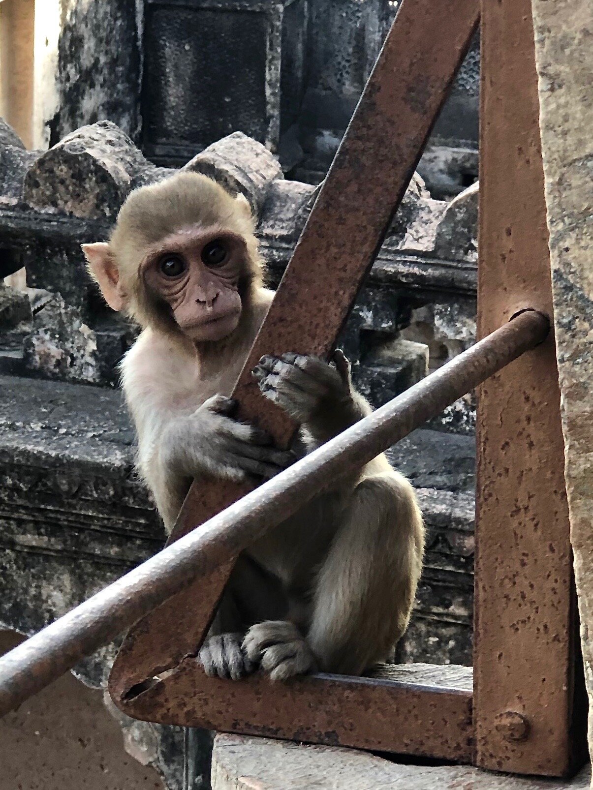 Bundi