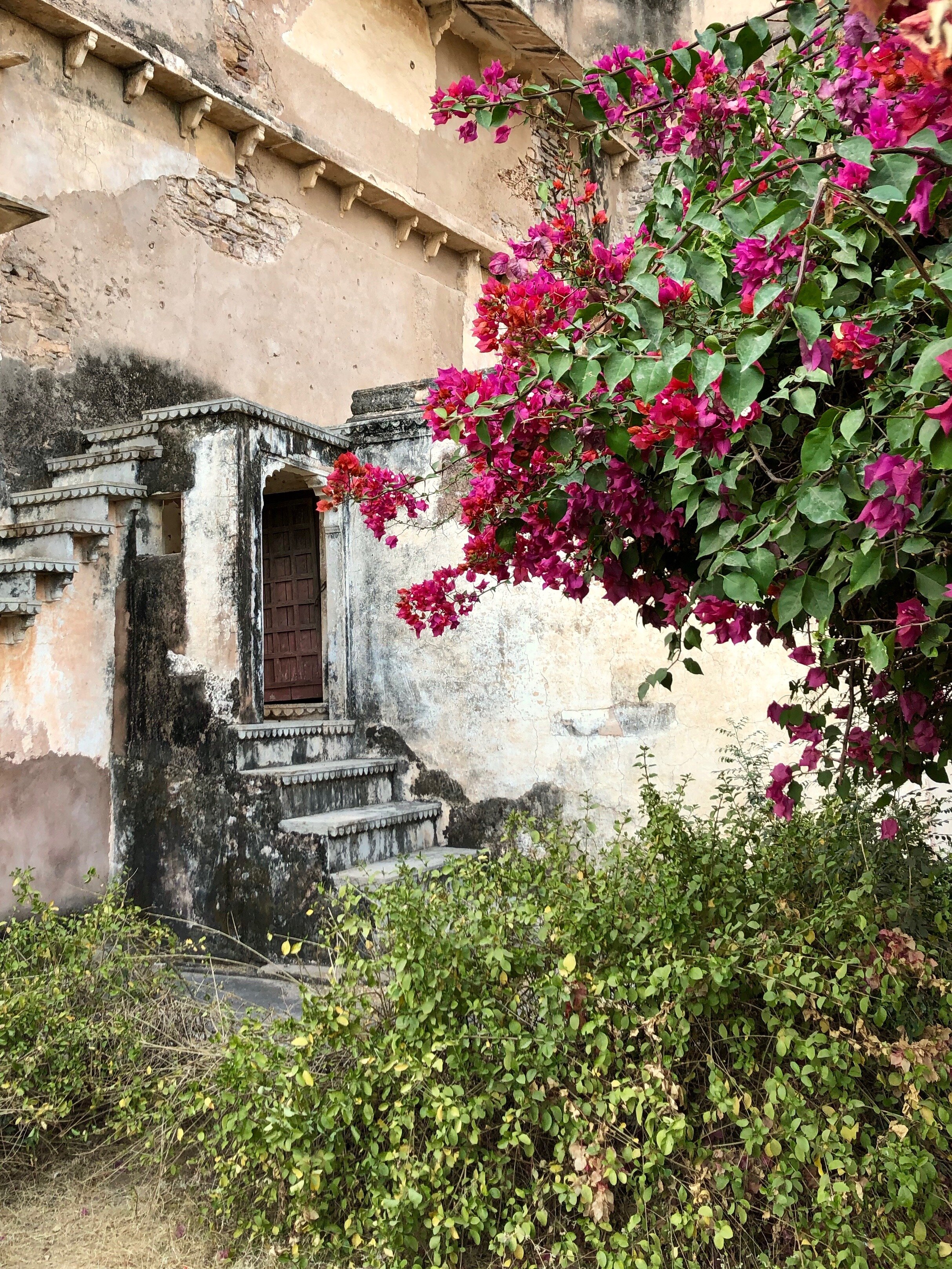 Bundi
