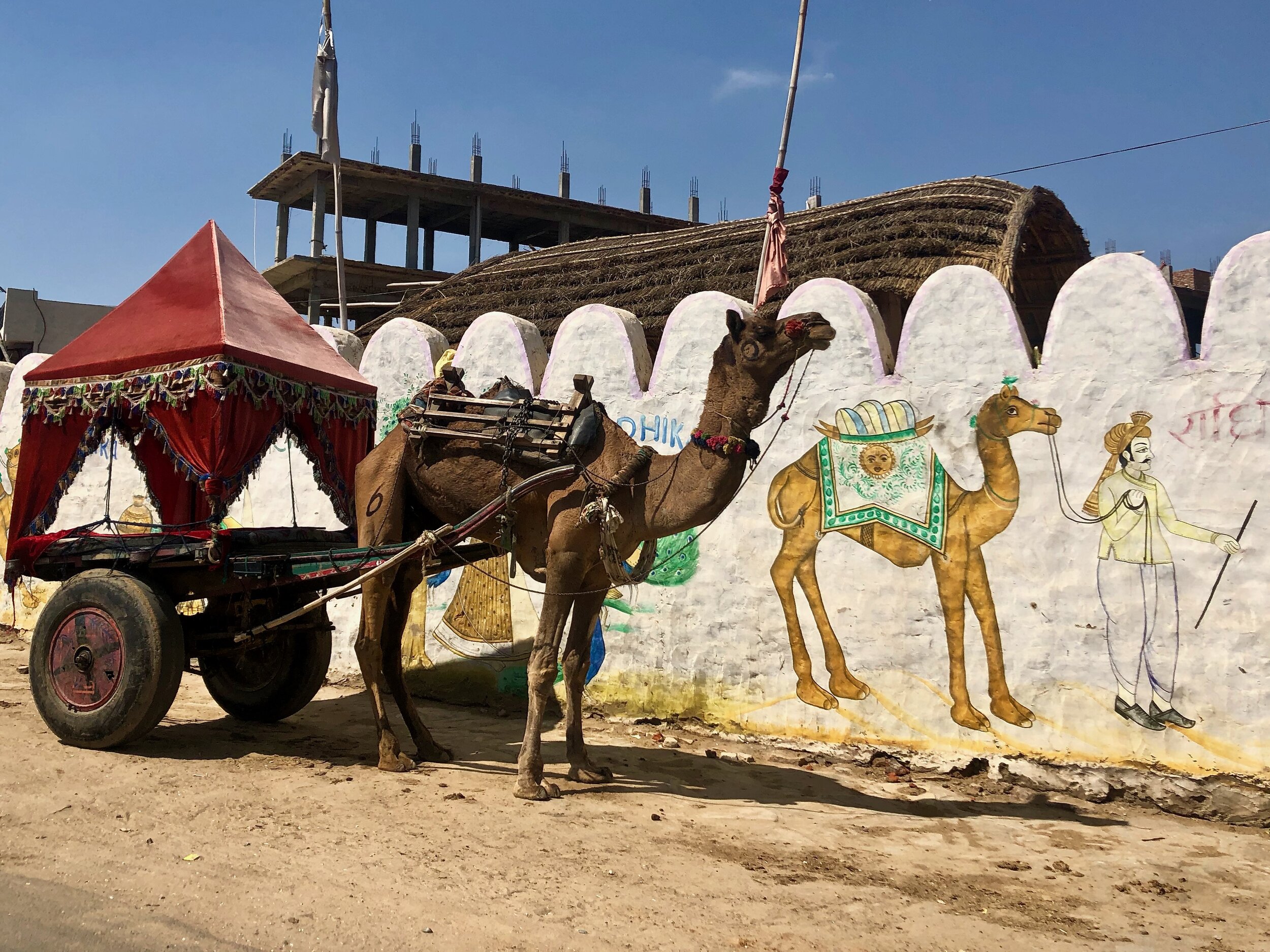 Pushkar