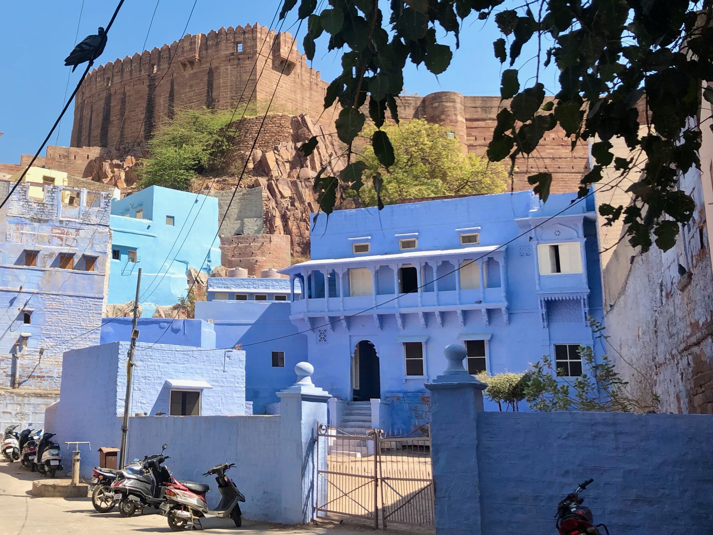 Jodhpur