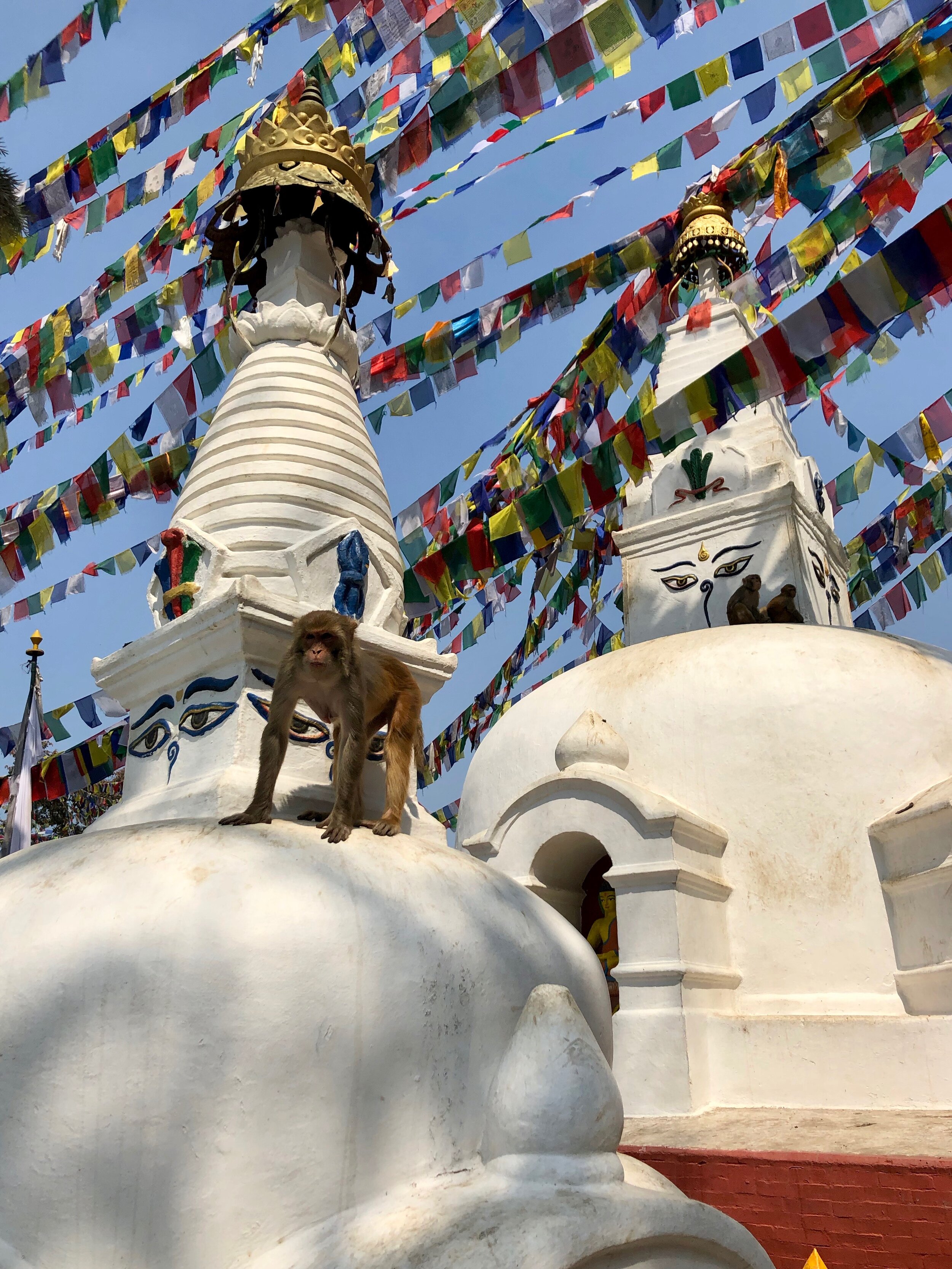Swayambhunath Stupa (Monkey Temple), Kathmandu