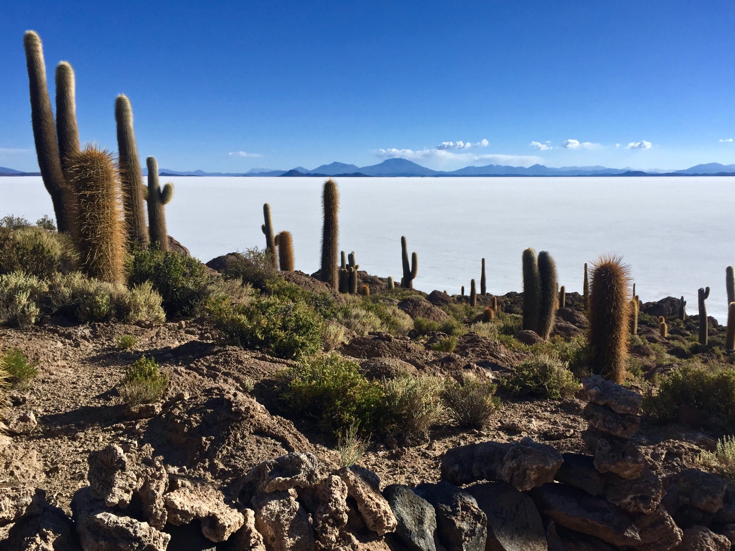 Isla Incahuasi, Uyuni Salt Flat, Bolviai