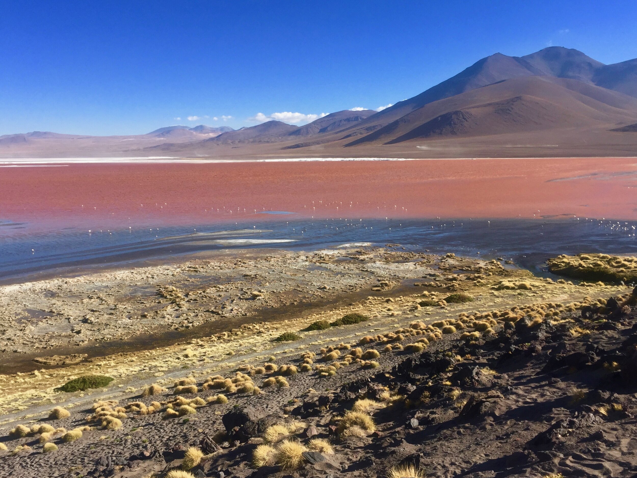 Laguna Colarada, Bolivia