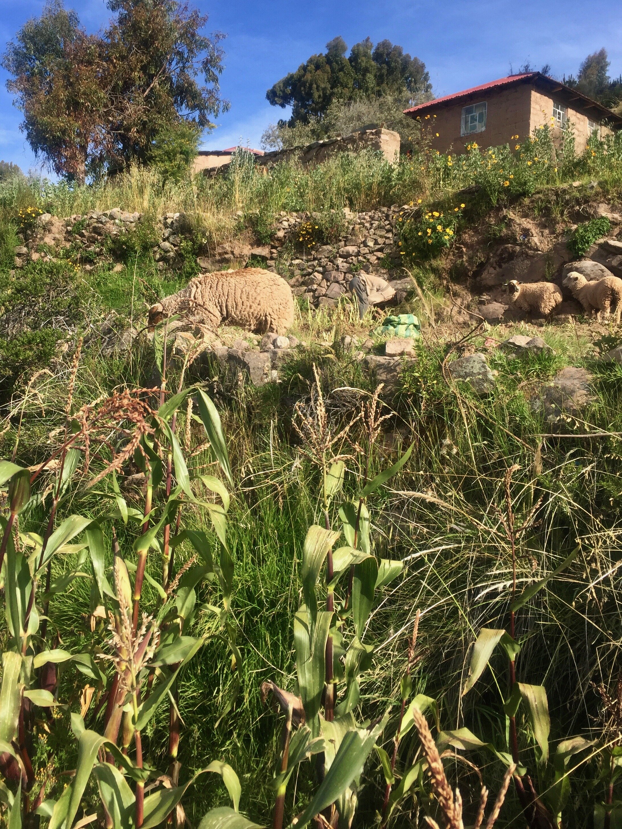 La Isla Taquile, Lake Titicaca, Peru