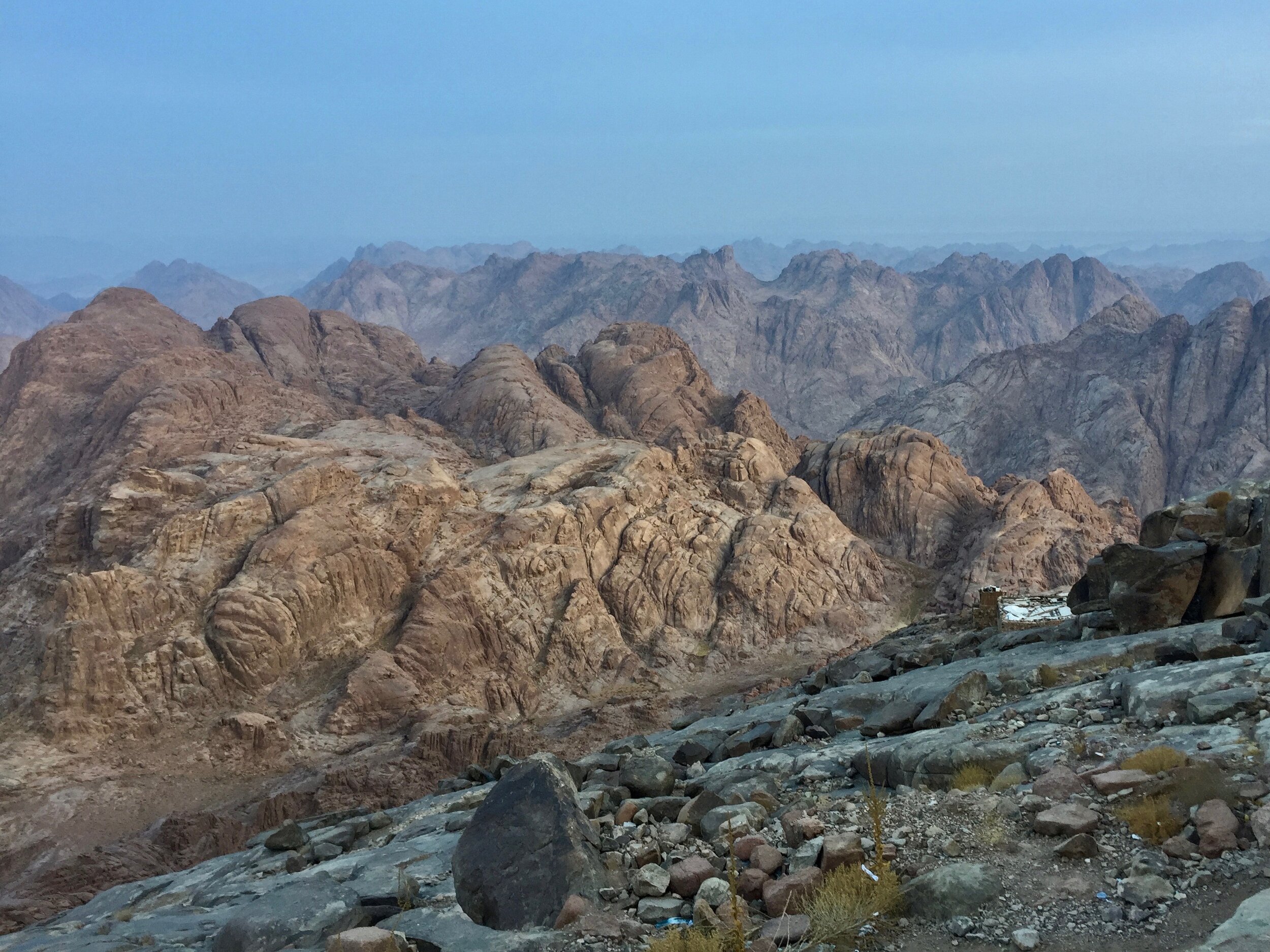 Mt. Sinai