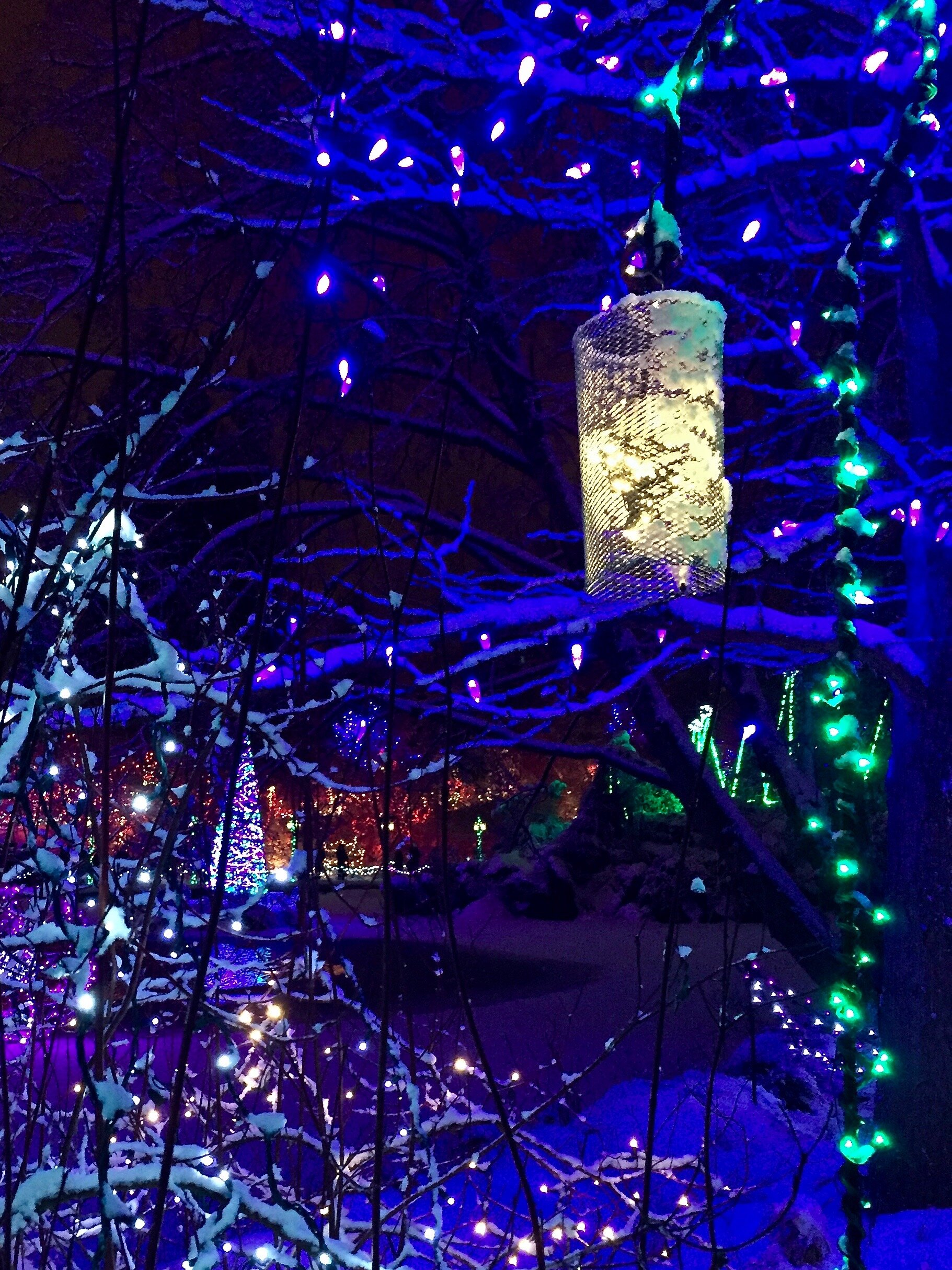 Van Dusen Gardens, Vancouver