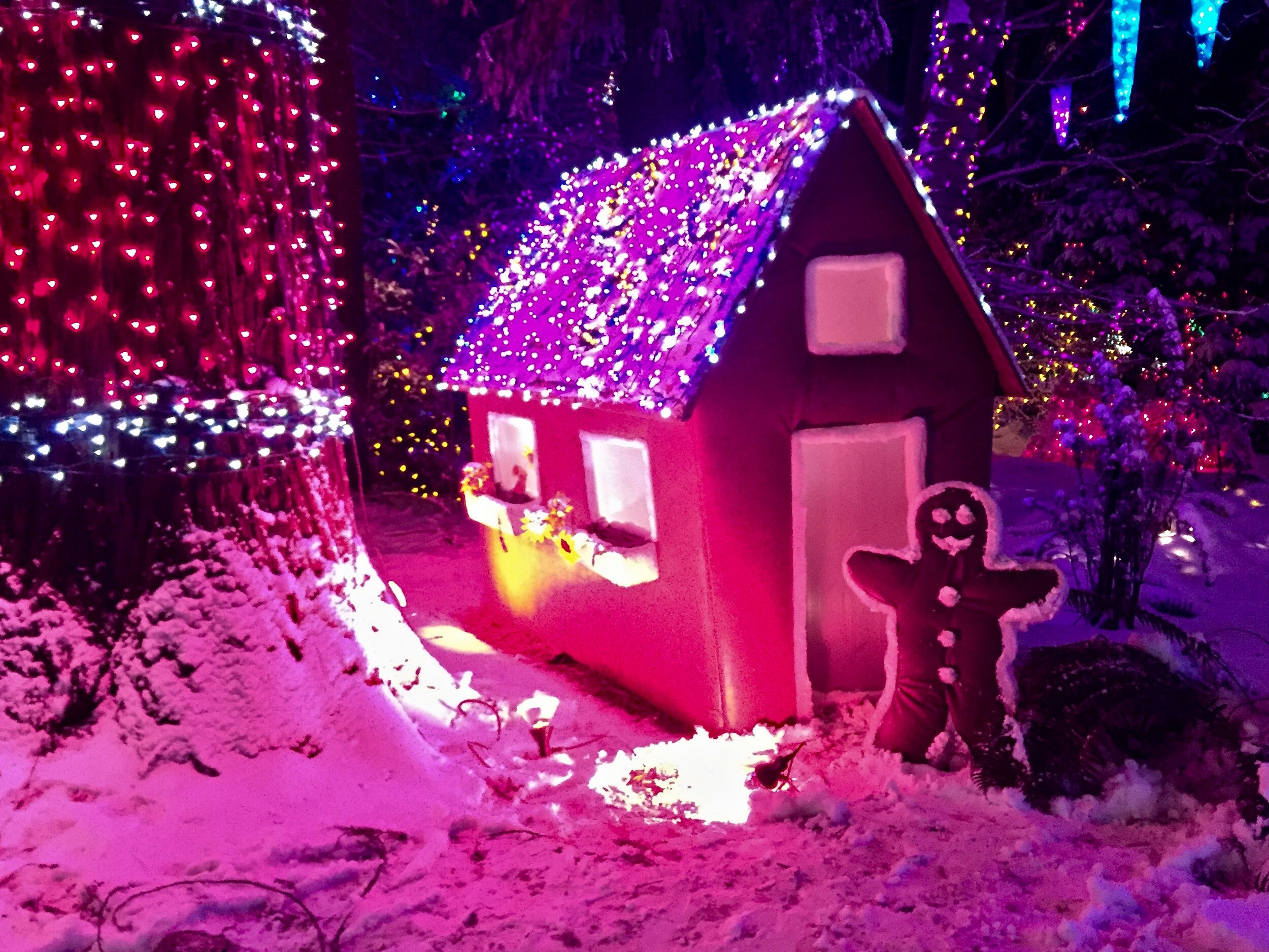 Van Dusen Gardens, Vancouver