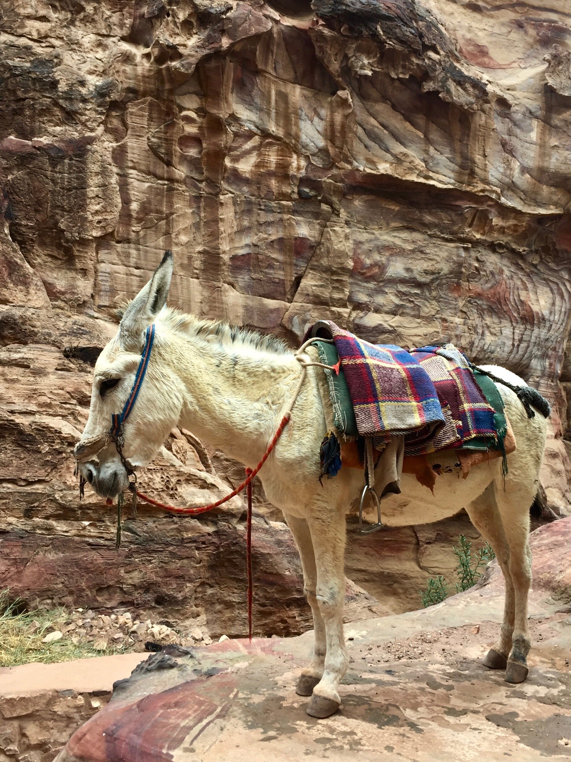 Petra, Jordan
