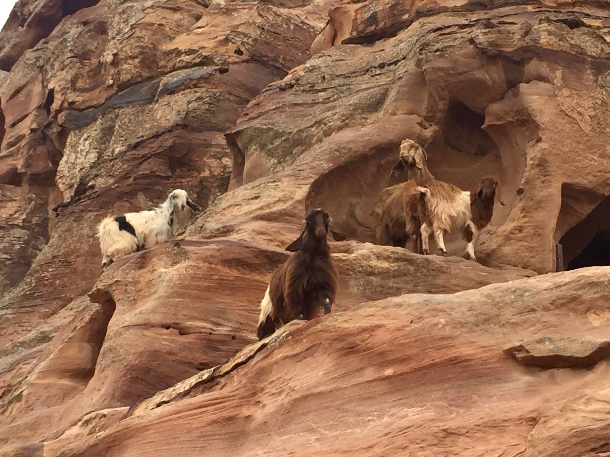 Petra, Jordan
