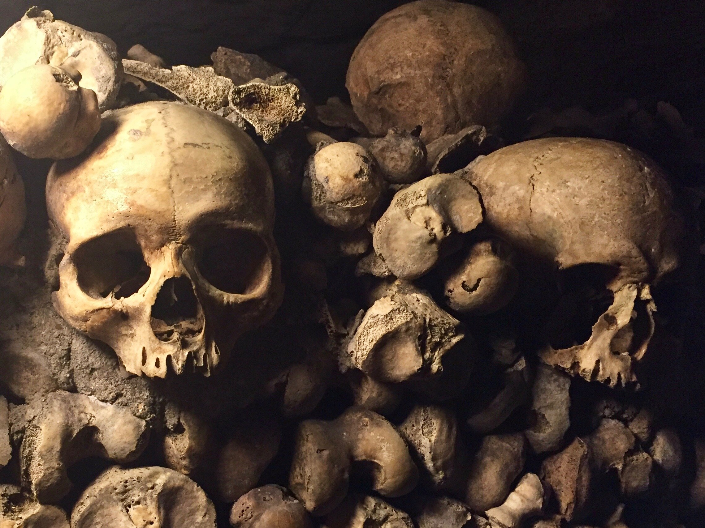 Les Catacombes de Paris