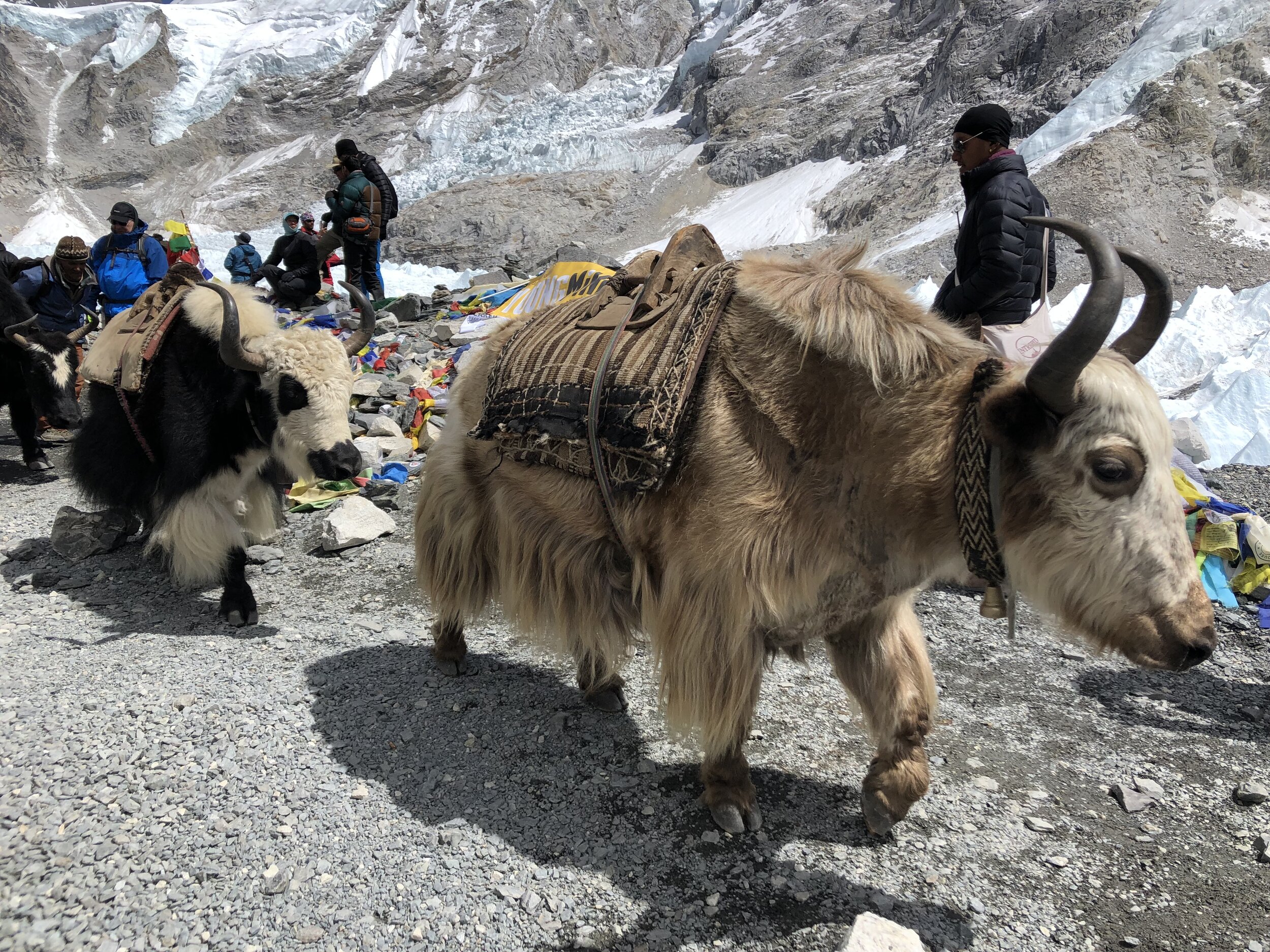 Everest Base Camp trek