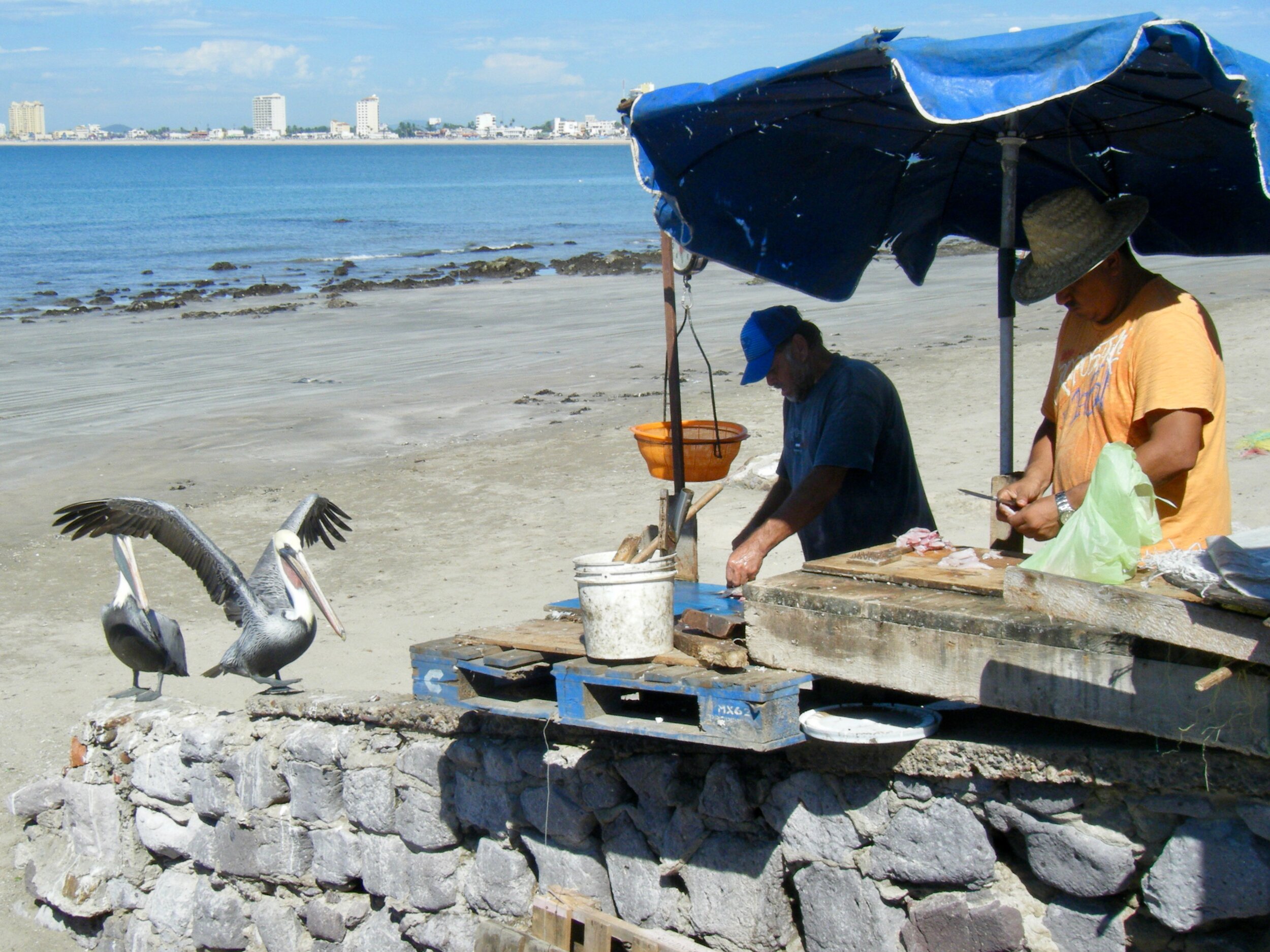 Mazatlan