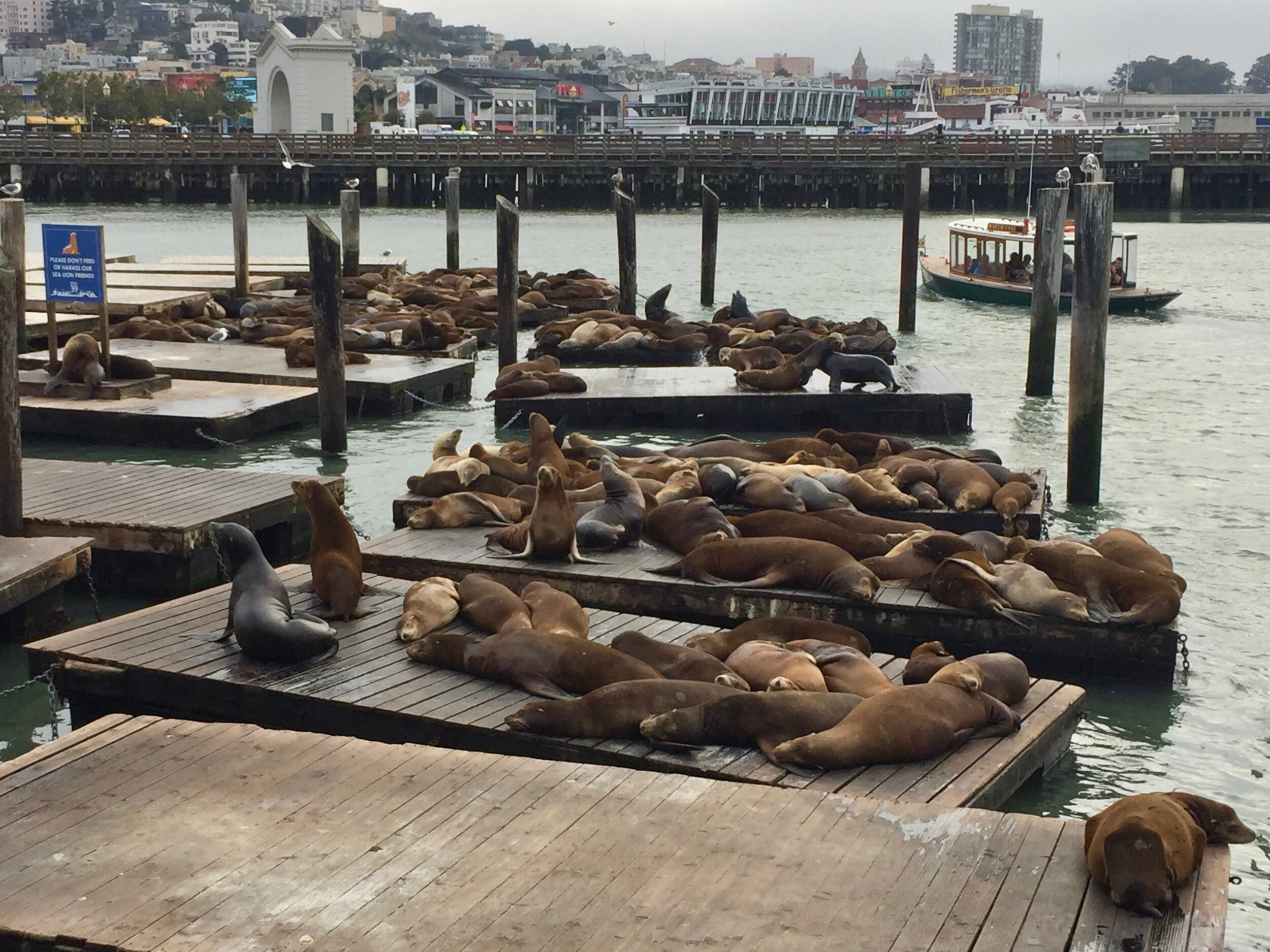 San Francisco, California