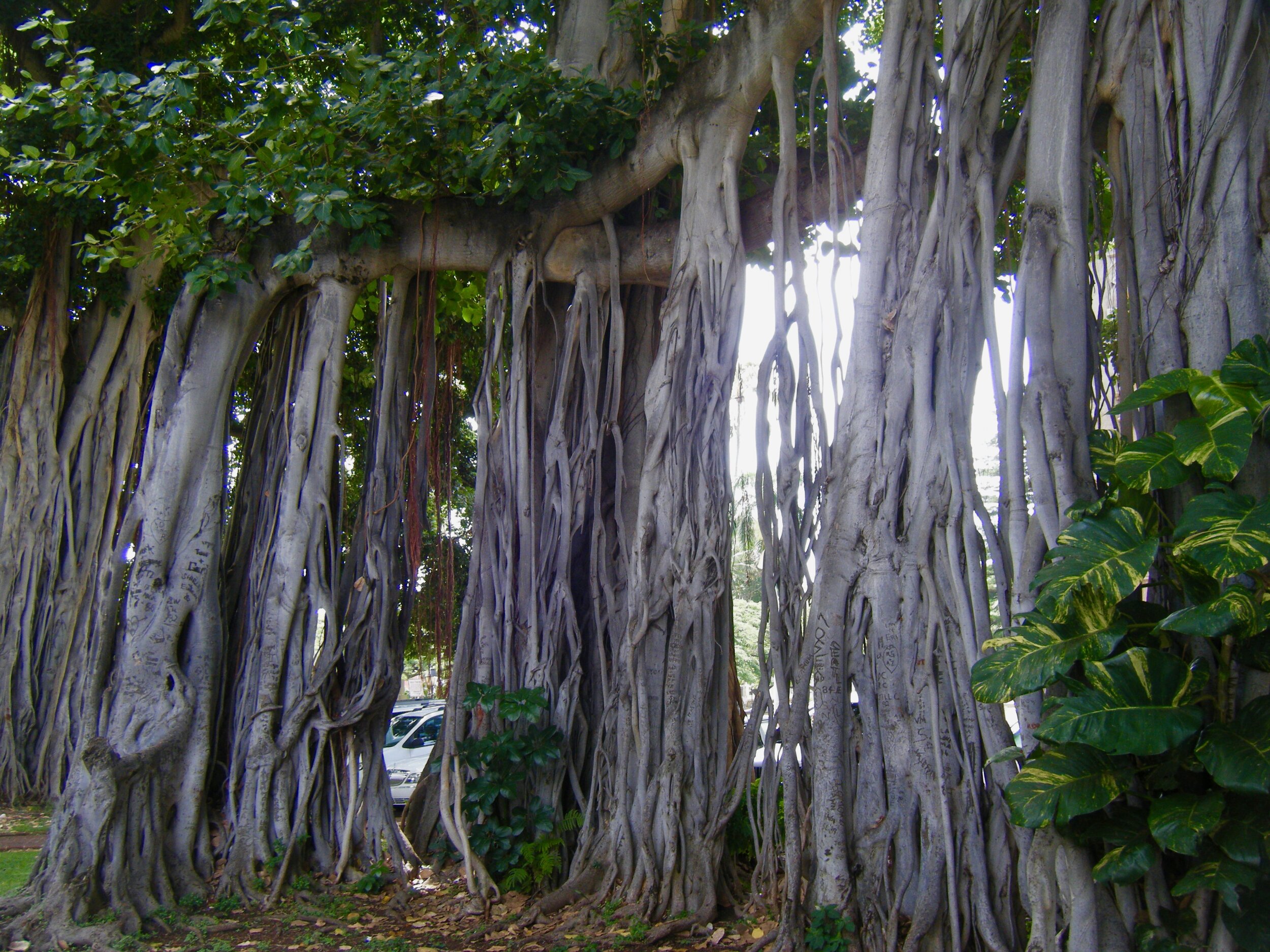 Maui, Hawaii