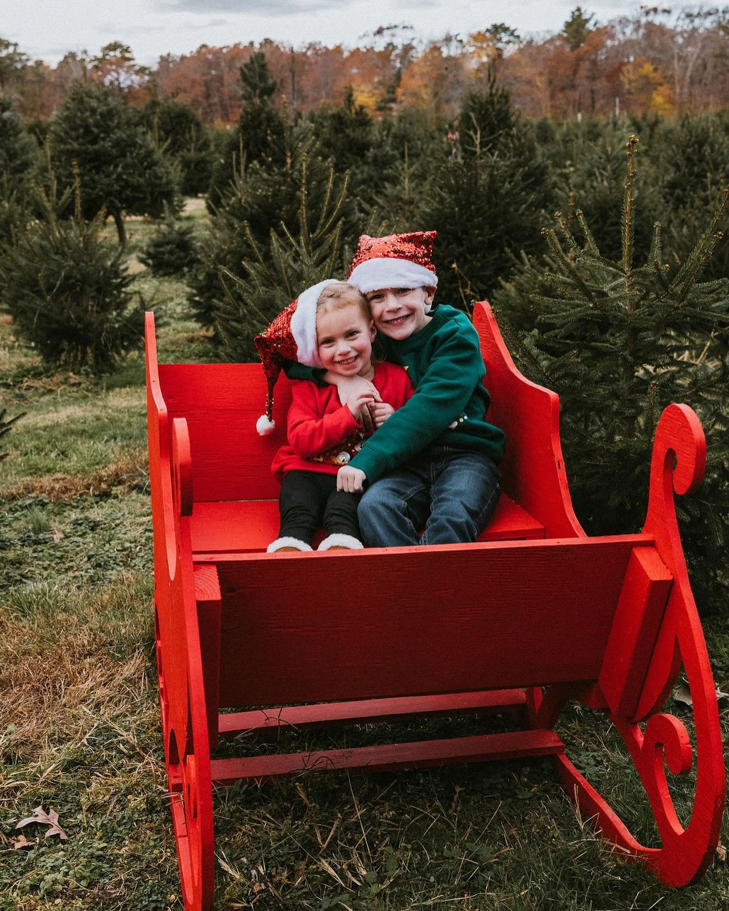 I still have some tree farm minis spots left! I&rsquo;m looking back at the photos from last year and holey moley this tree farm is just beautiful!  They will be in Suffolk County🌲Saturday, September 28th, from 3-7pm. The rain date for this will be 