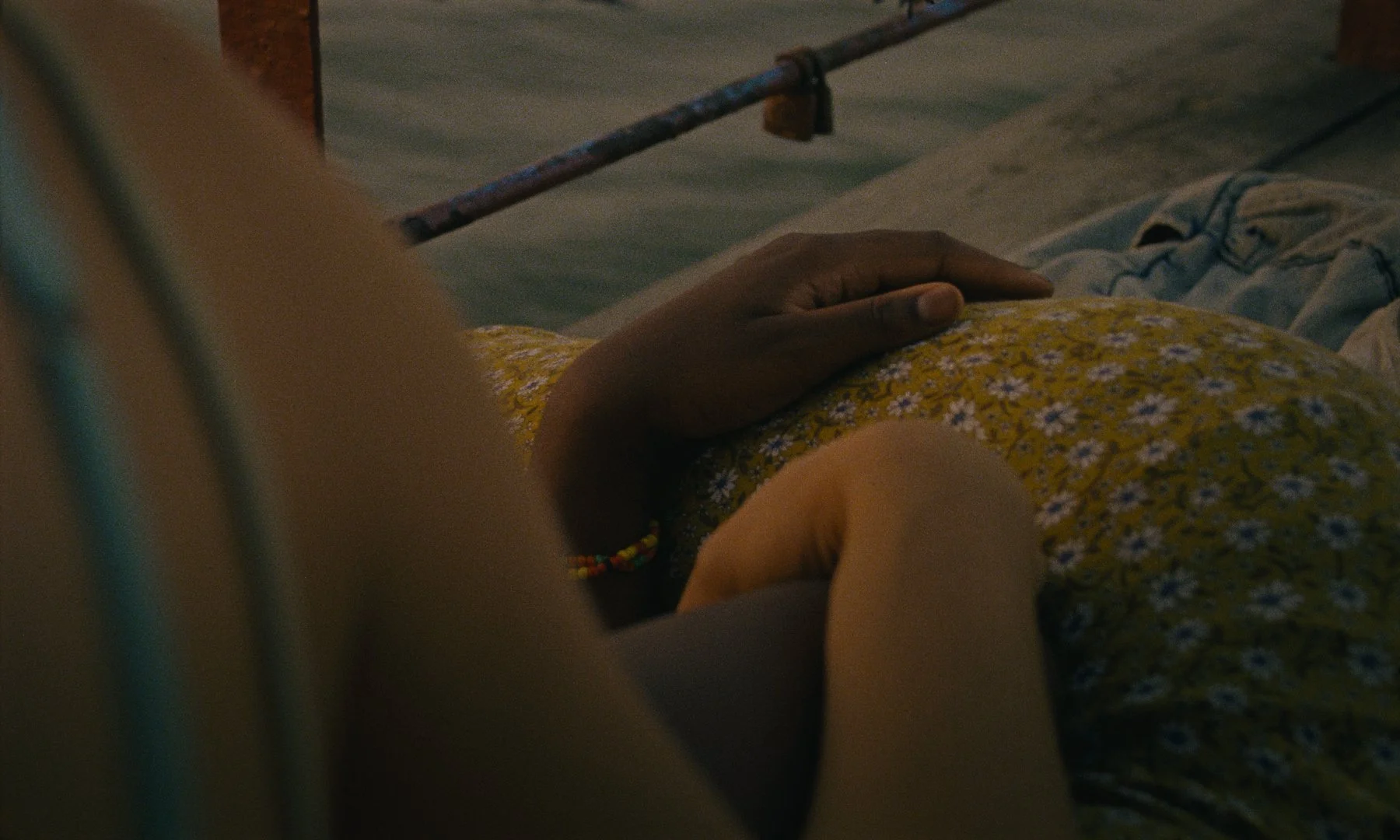 3_TheLionAtMyBack_Still_2K_0880.jpg