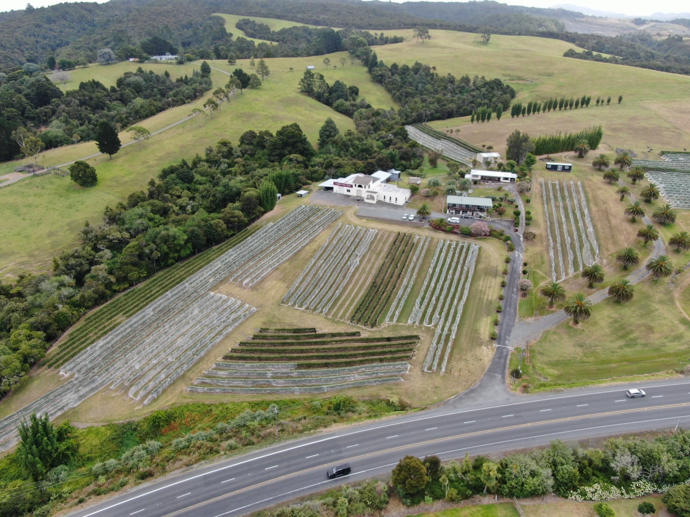 Aerial view of AFC Group’s Longview Estate vineyard in Northland, New Zealand