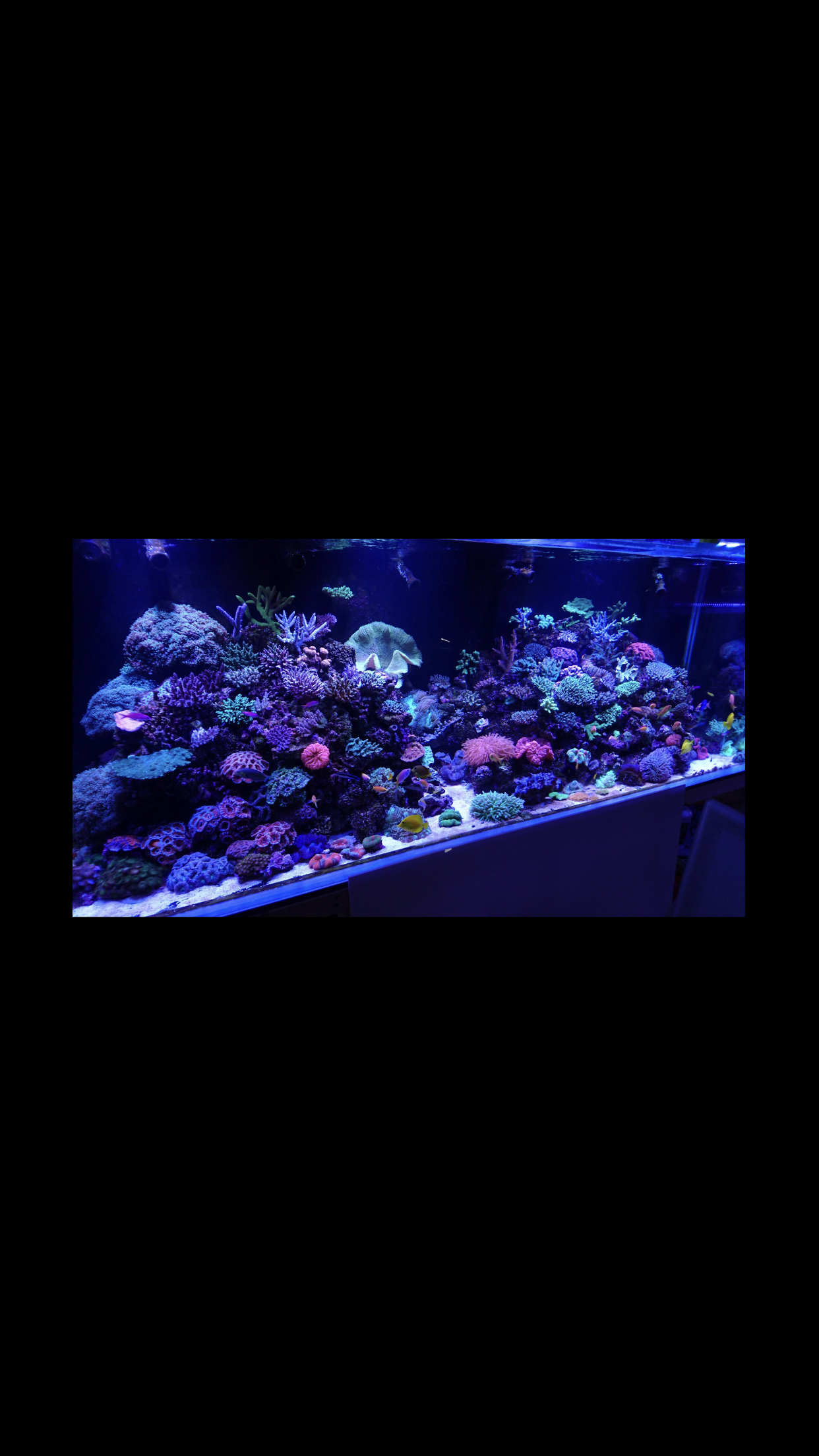 fish_tank_manufactures