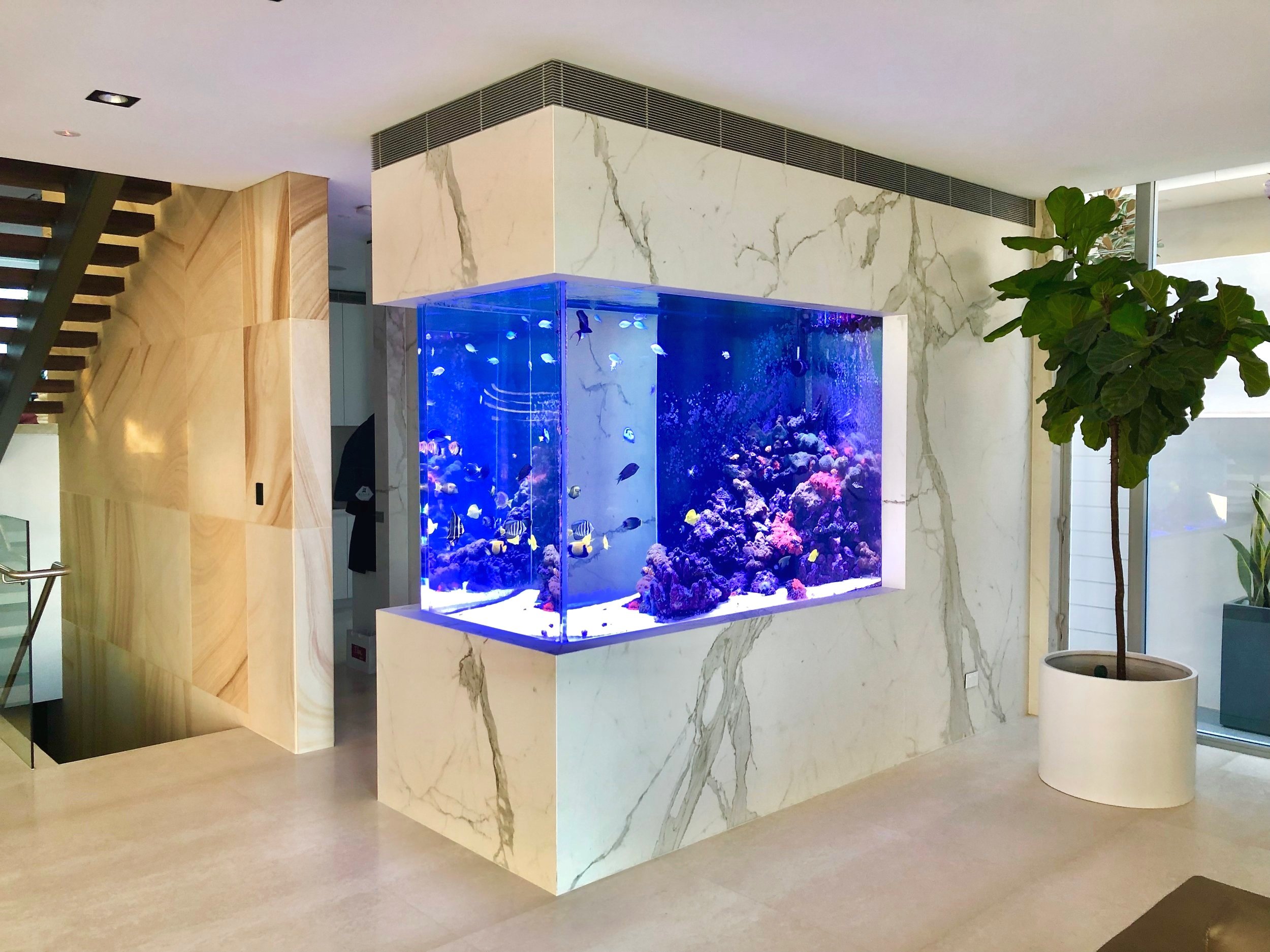 modern_built-in_aquarium