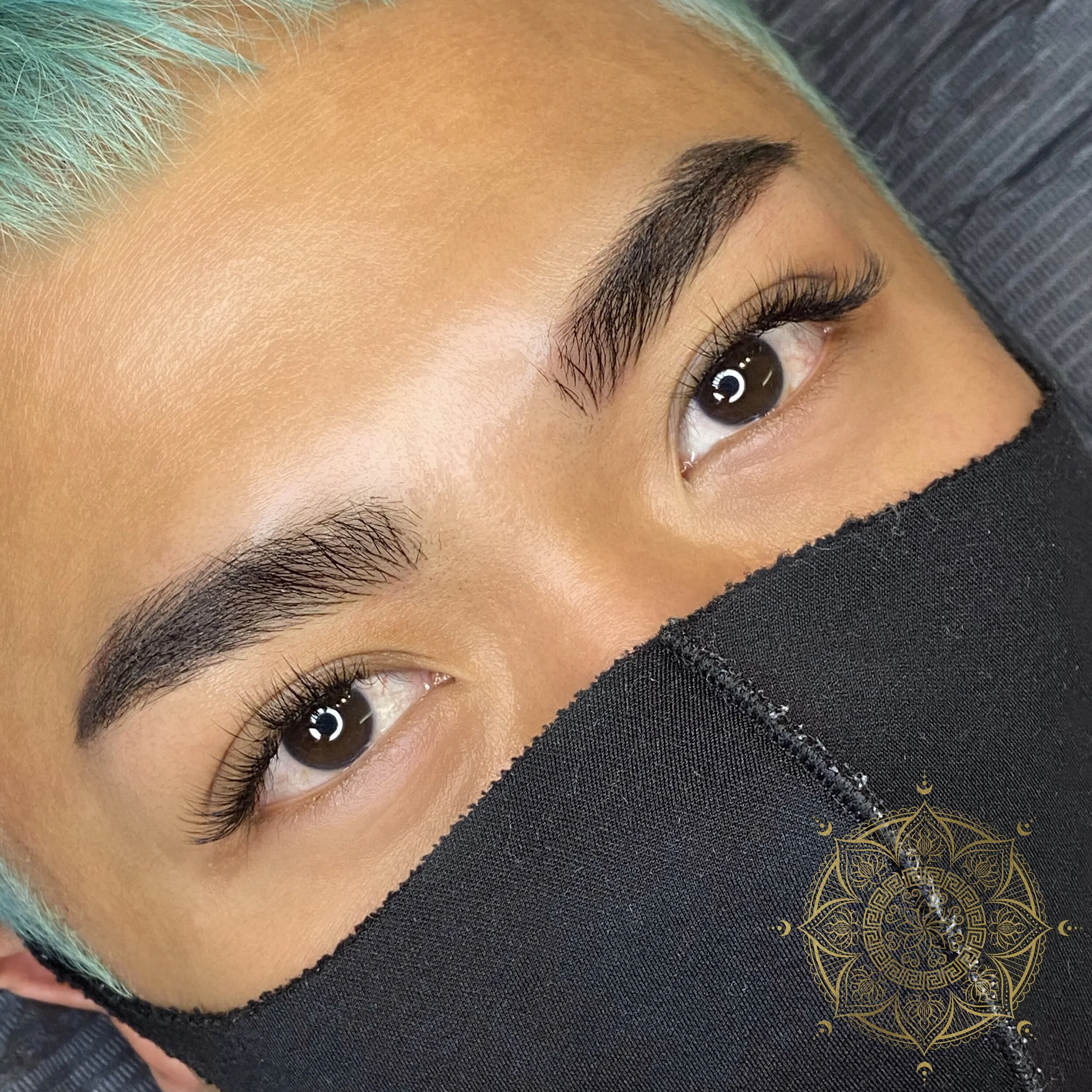 POWDER BROWS