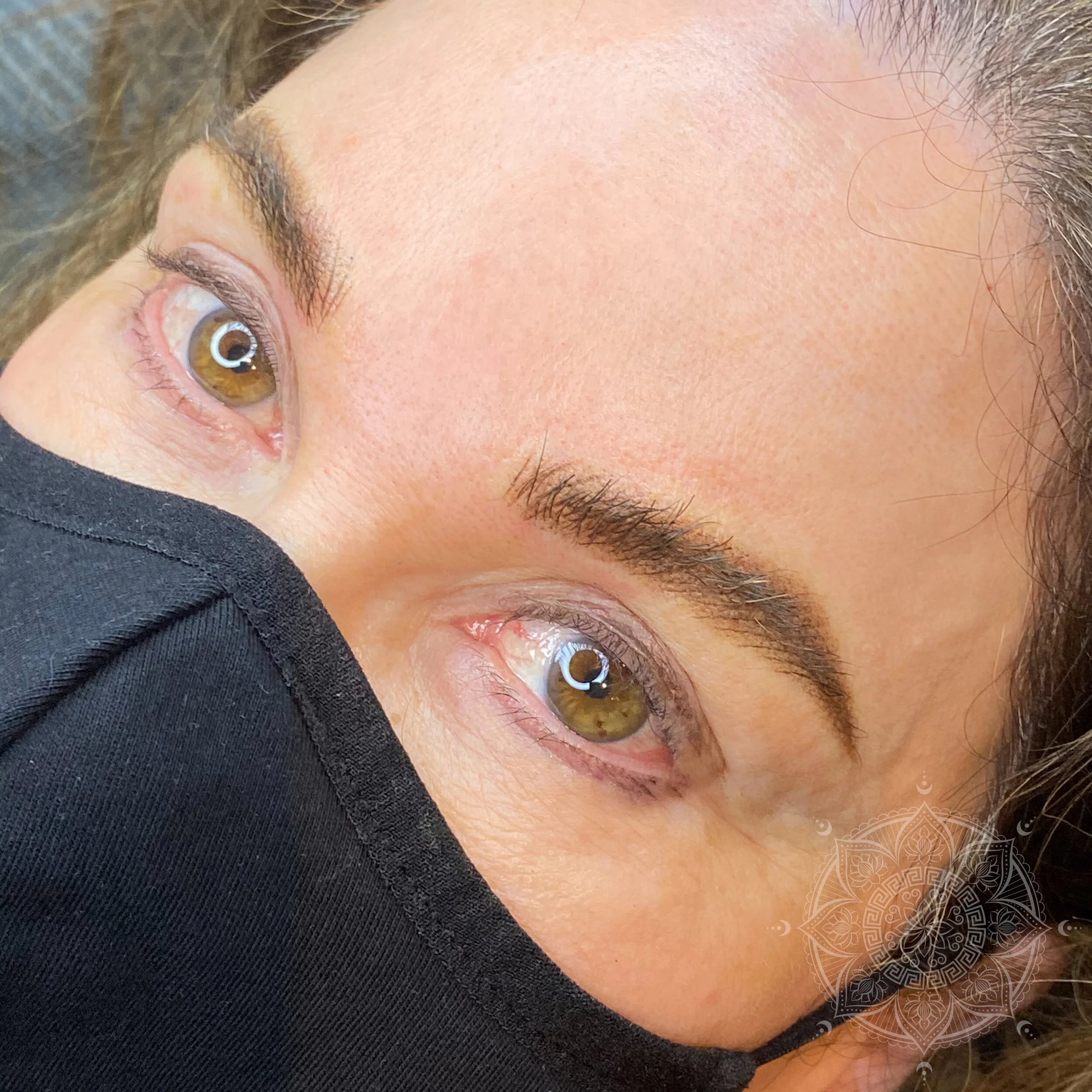 POWDER BROWS