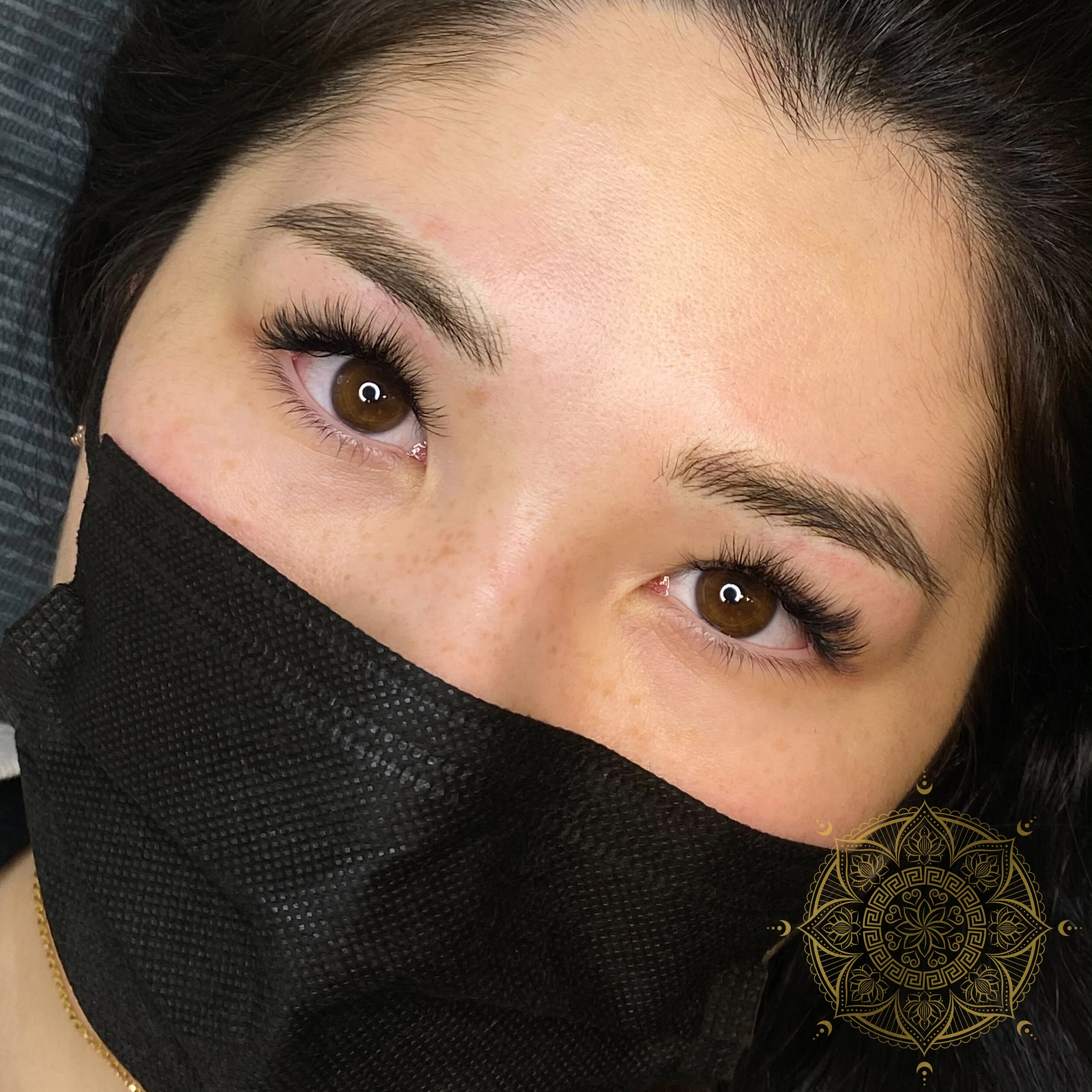 NANO BROWS