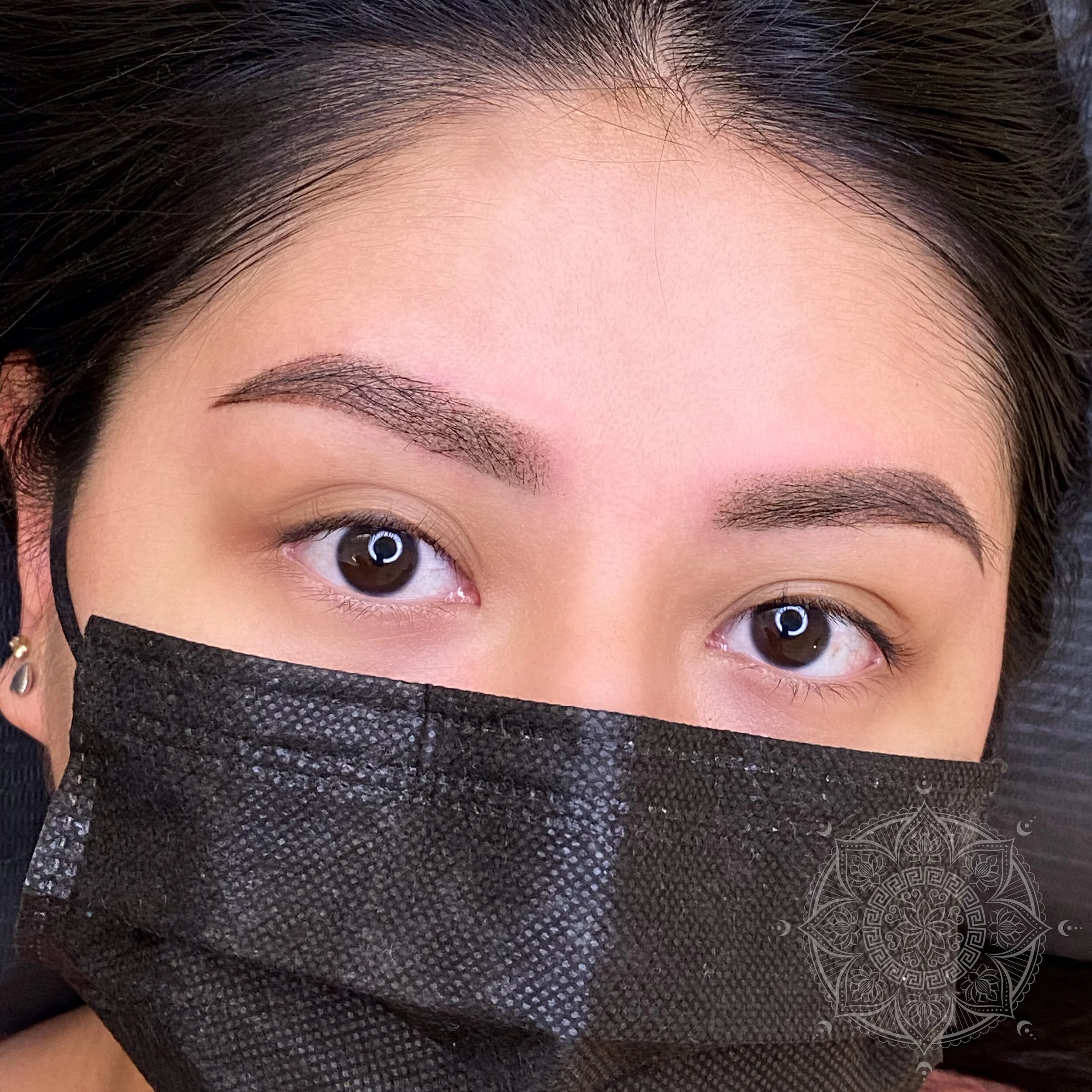 POWDER BROWS