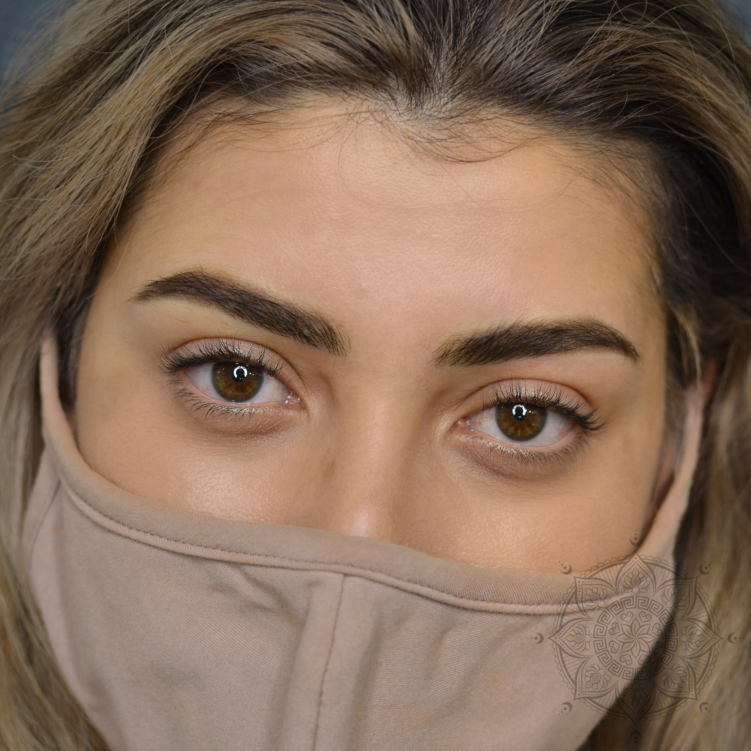 POWDER BROWS