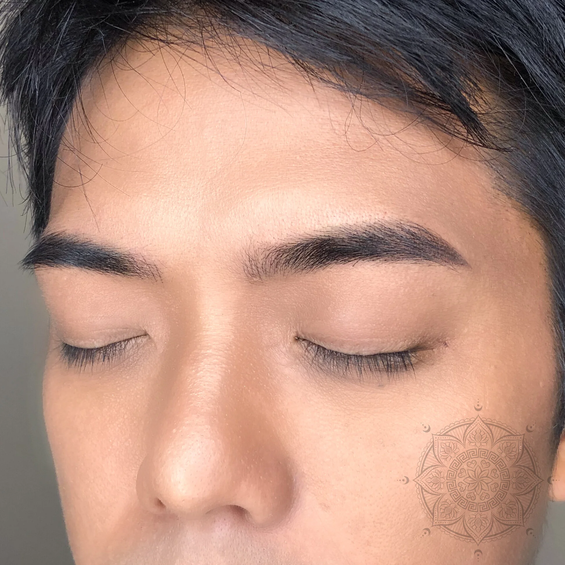 POWDER BROWS