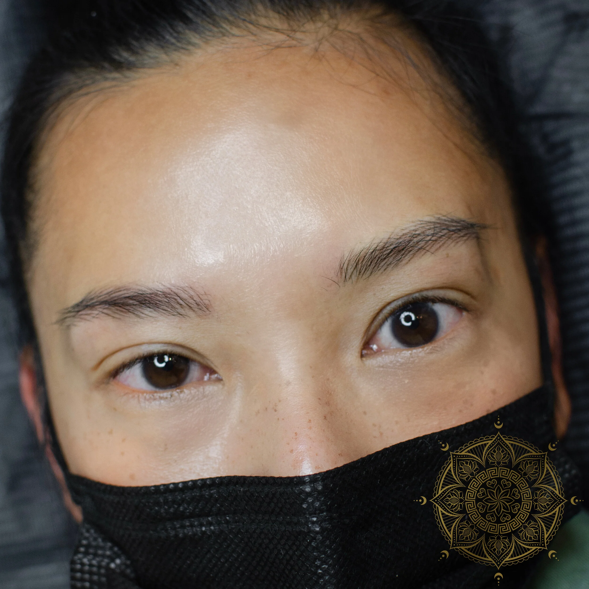 NANO BROWS