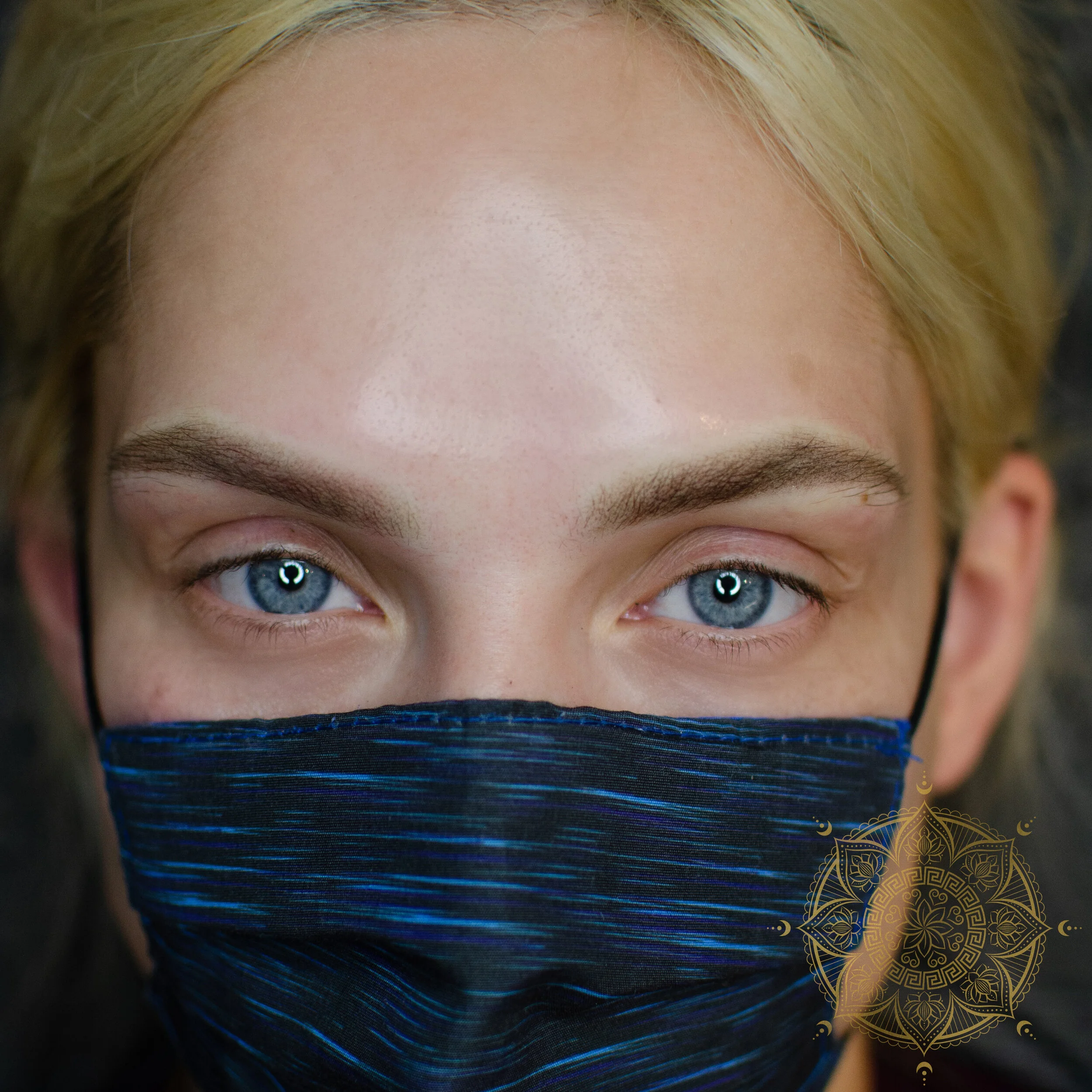 POWDER BROWS