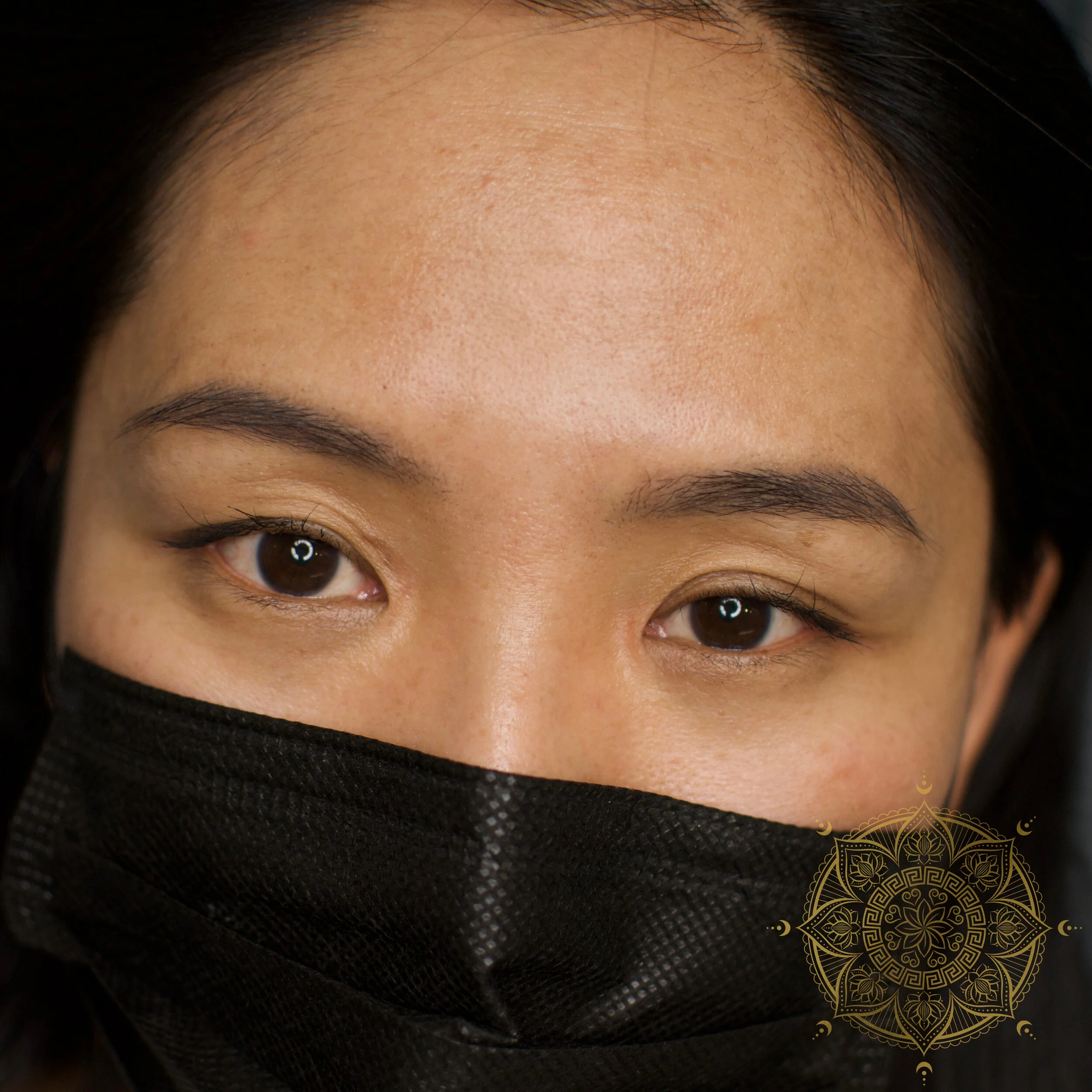 POWDER BROWS