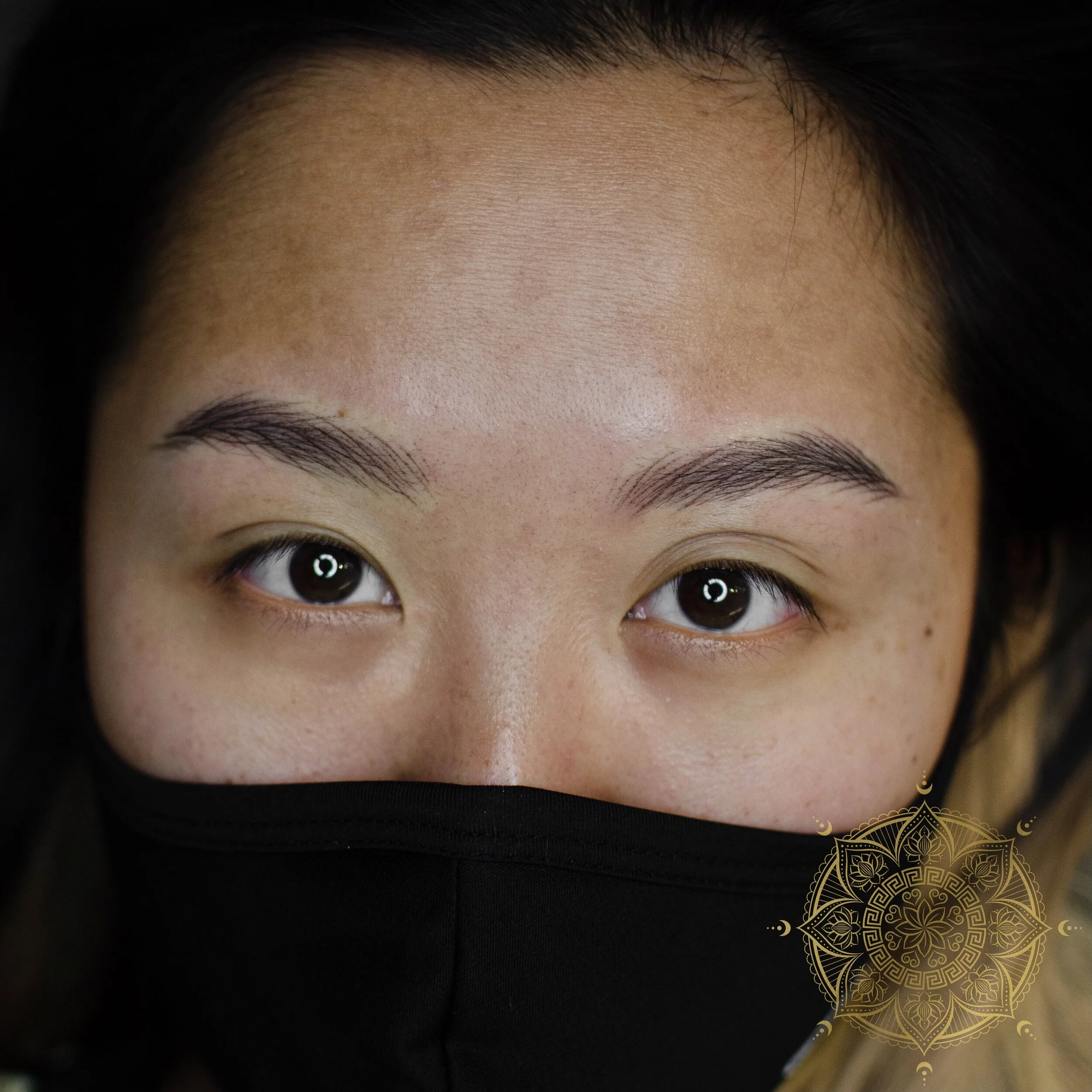 NANO BROWS