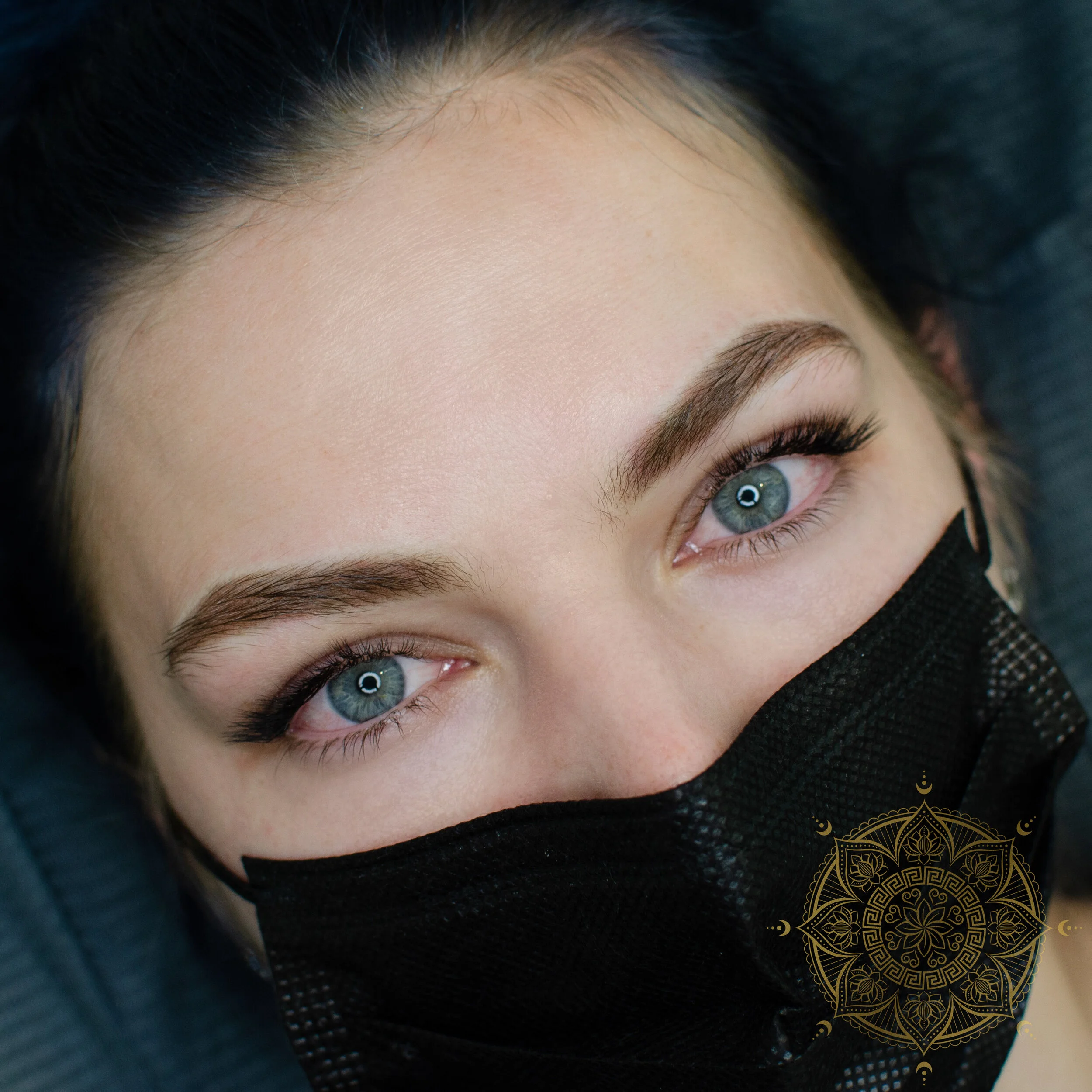 POWDER BROWS