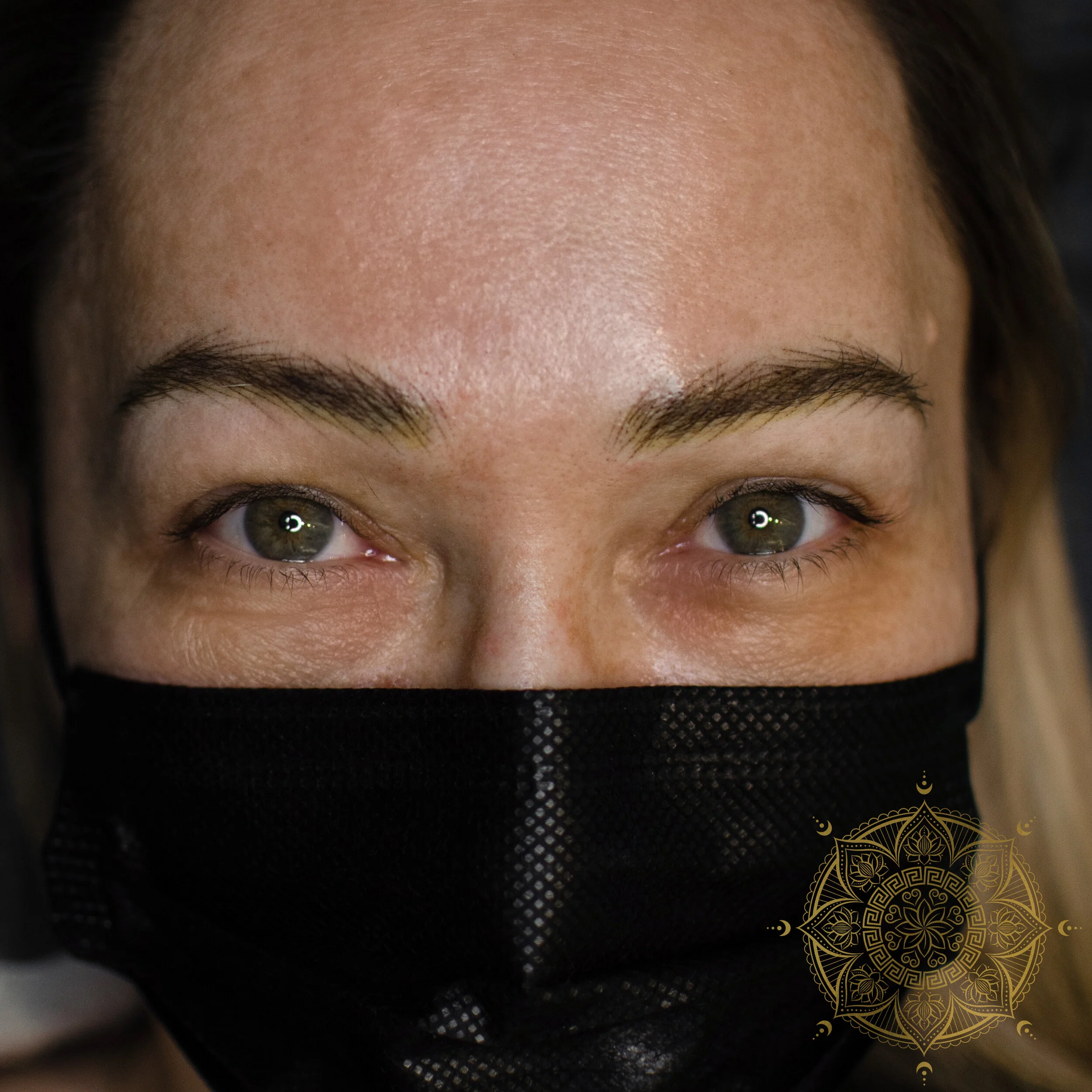 NANO BROWS