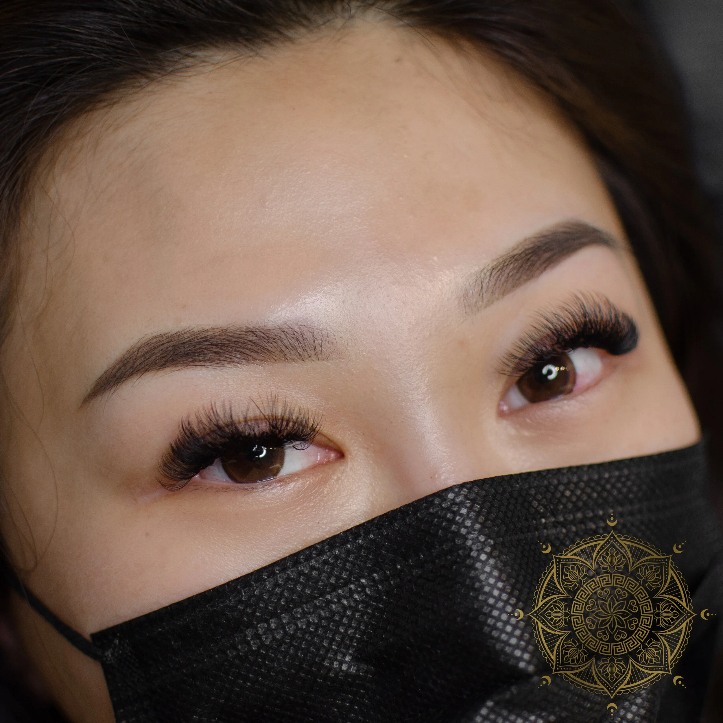 POWDER BROWS