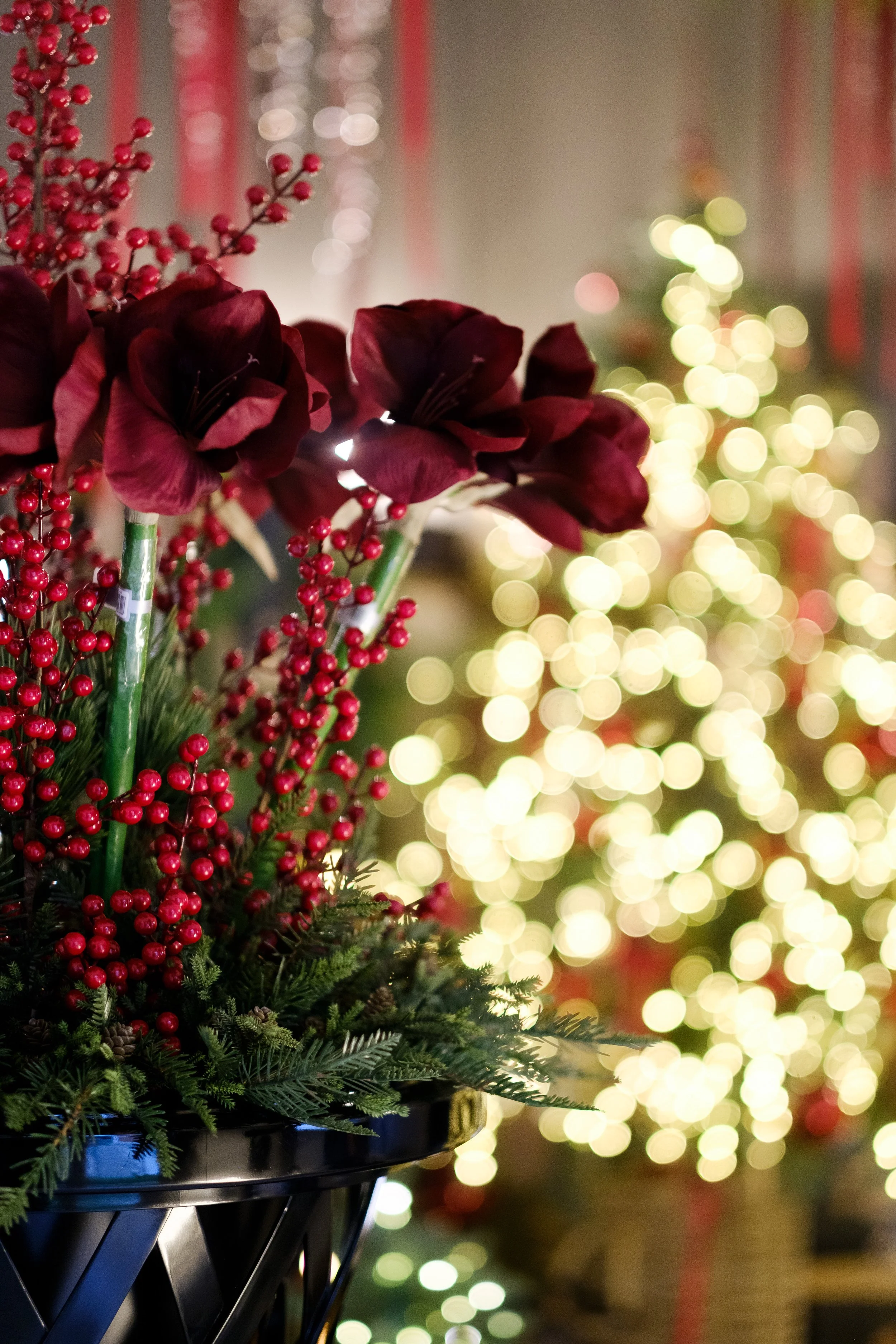 Giovanna-Aprili_LBC-95 copia.jpg