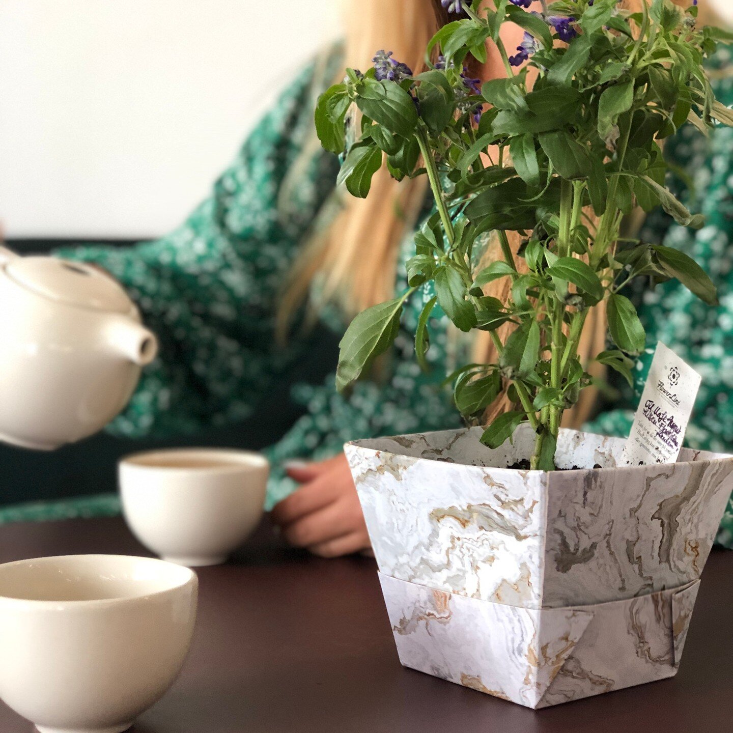 Milj&oslash;vennlig kan ogs&aring; v&aelig;re vakkert🌿
Kontakt oss for en pr&oslash;ve til din butikk

📧 hei@flowerline.no

📸 @l0berg 

#caf&egrave; #milj&oslash;vennlig #blomsterbutik #blomsterbutikk #plantsmakepeoplehappy