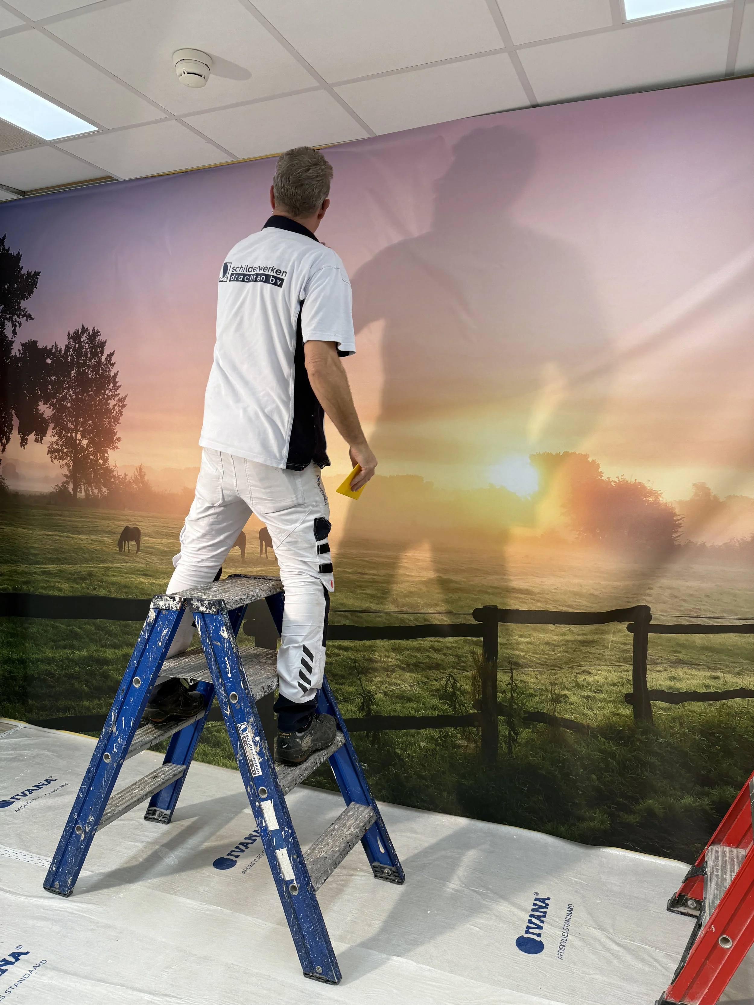 Aanbrengen van fotobehang en wandafwerking in ziekenhuis Nij Smellinghe in Drachten door Schilderwerken Drachten