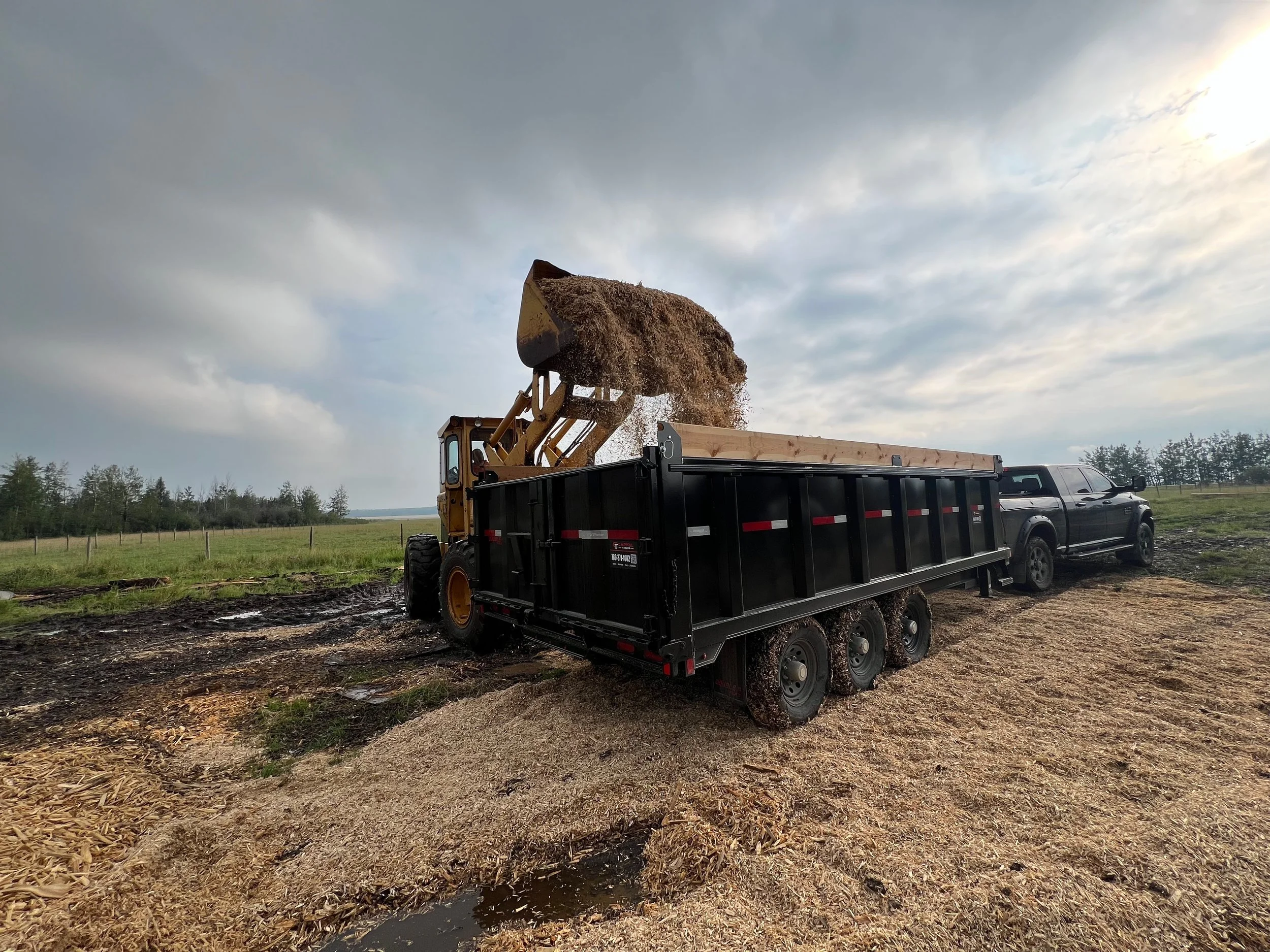 Loading SPF Mulch