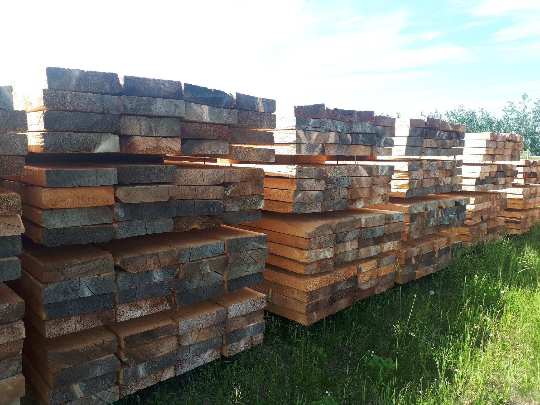 lumber pile 2.jpg