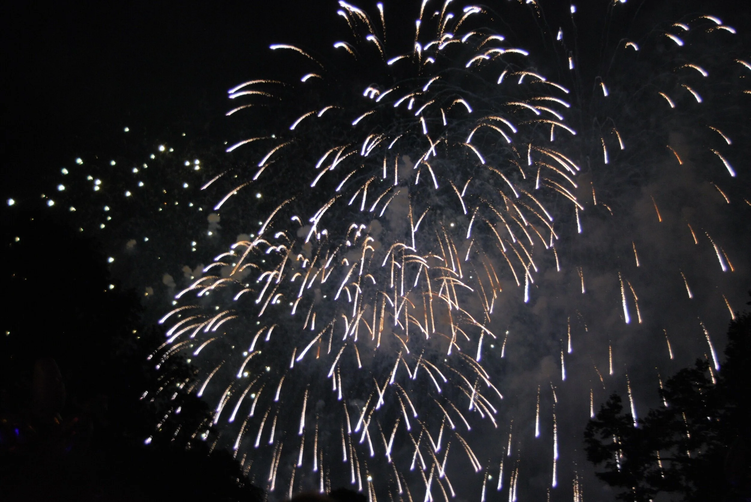 Animali e fuochi d’artificio