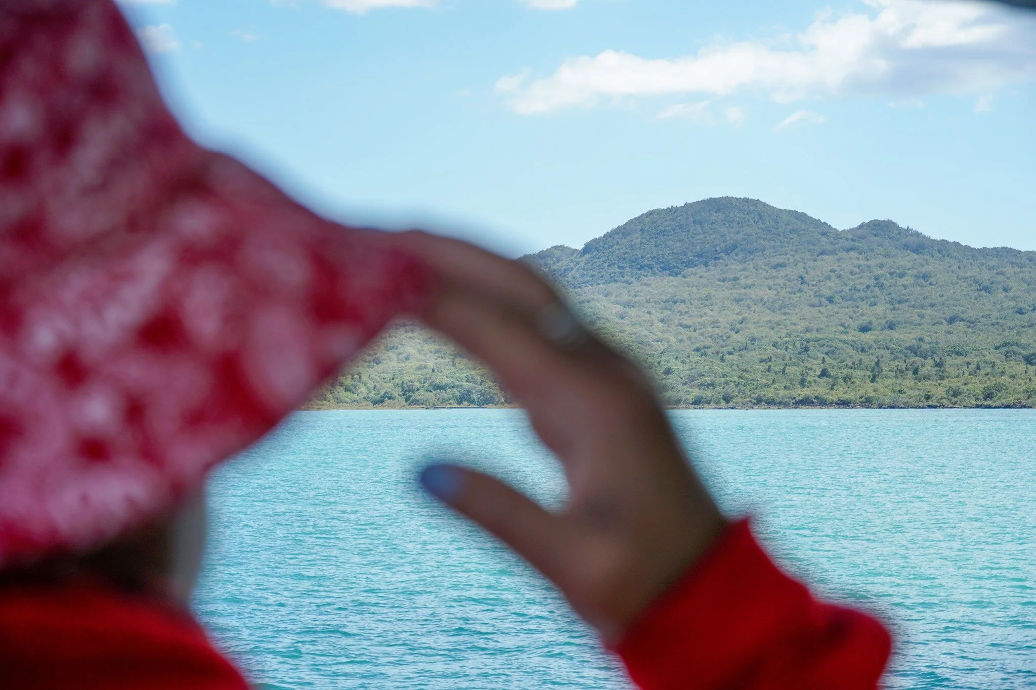 Green Prescription Team Walked up to Rangitoto Summit