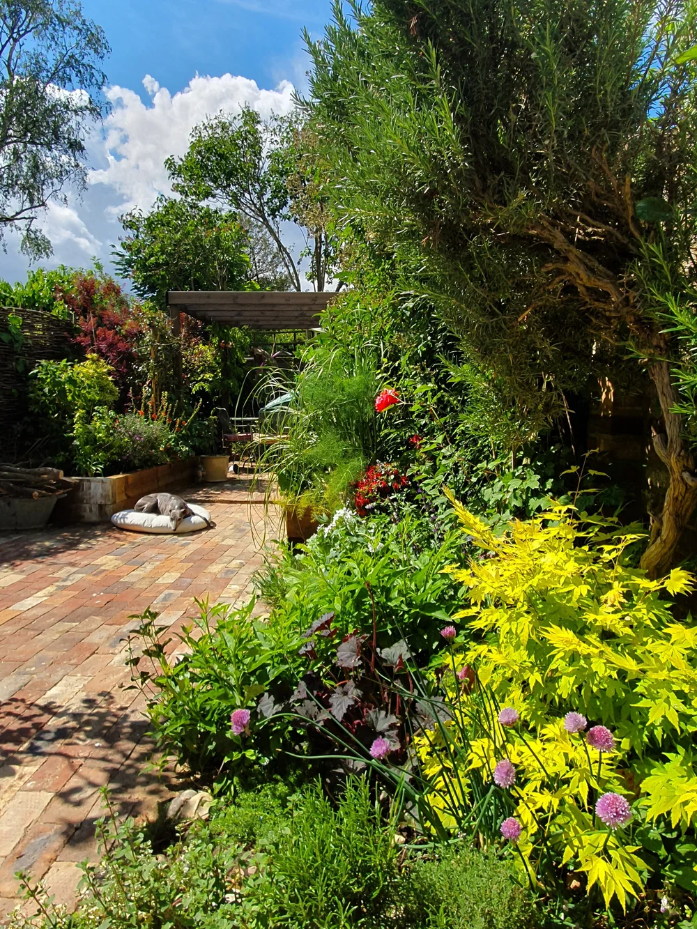 The mature garden features a wooden pergola