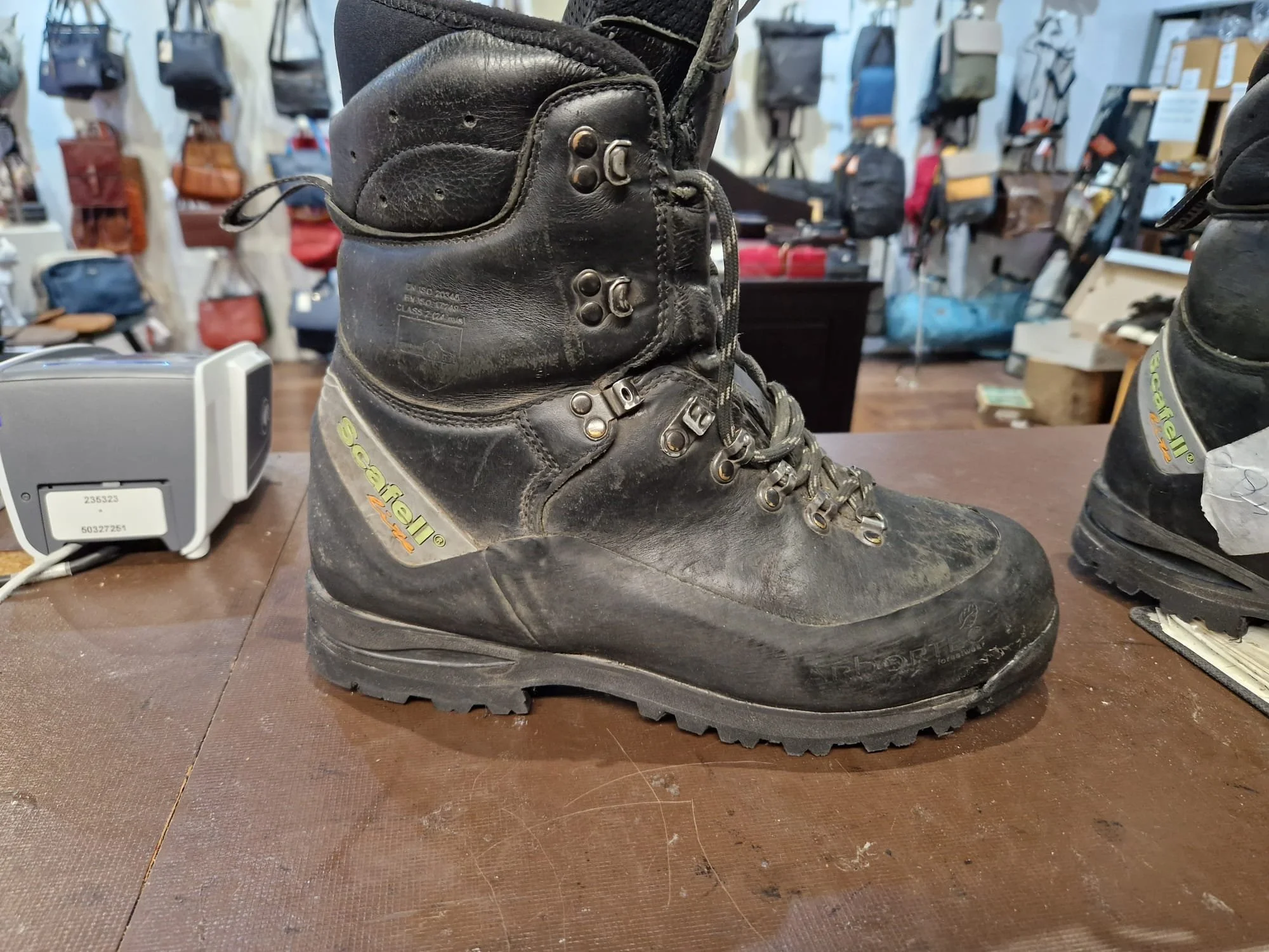 WhatsApp Image 2024-10-17 at 10.44.38_fe7c65f6.jpg