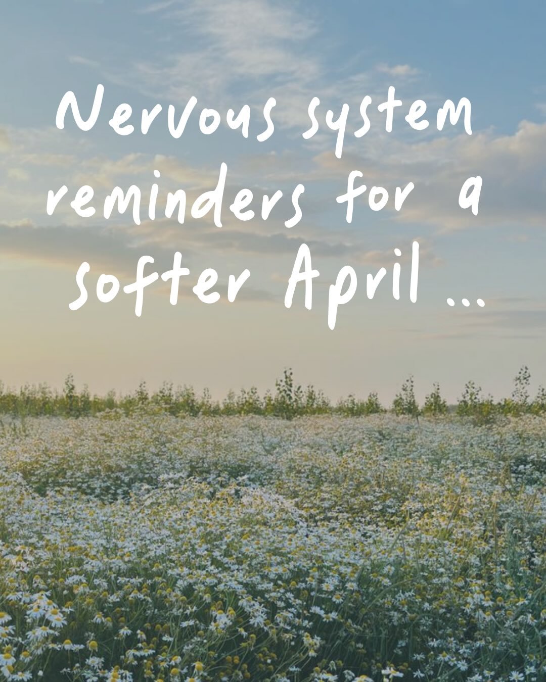 Your nervous system doesn&rsquo;t need constant calm - it needs safety 🌼