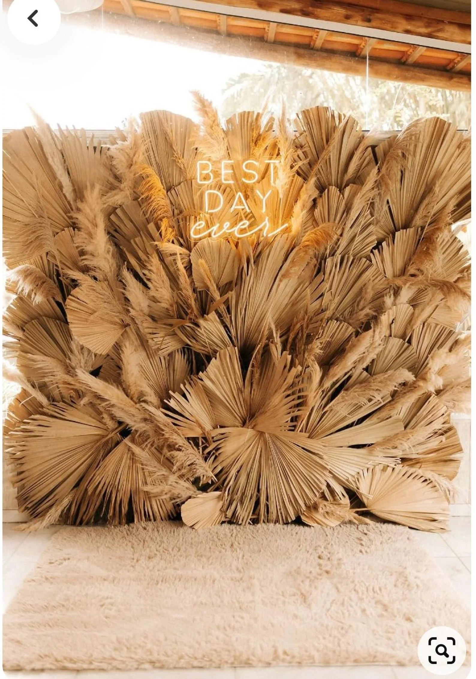 dried palm leaf decor