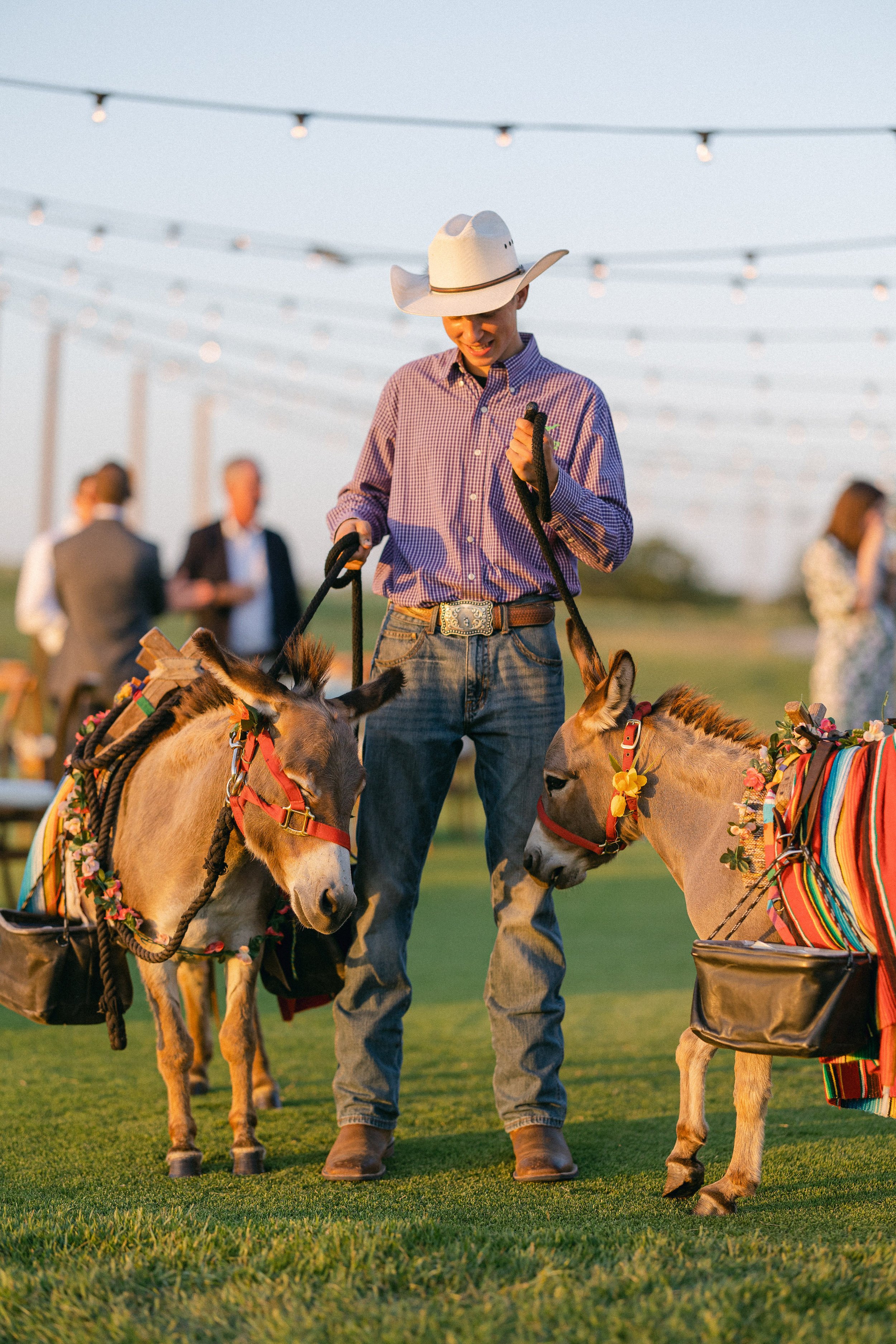 Donkeys at Texas Hill Country Wedding Rehearsal Dinner
