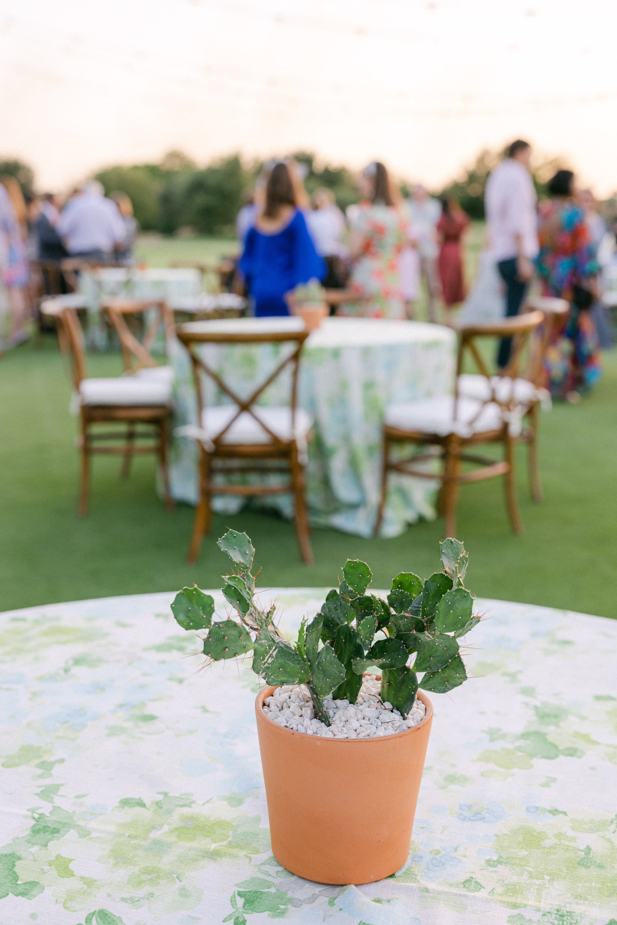 Outdoor Texas Hill Country Rehearsal Dinner